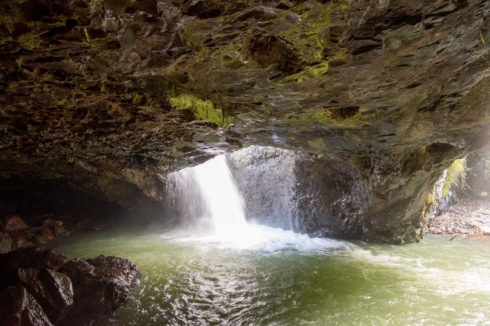 Springbrook National Park 2022