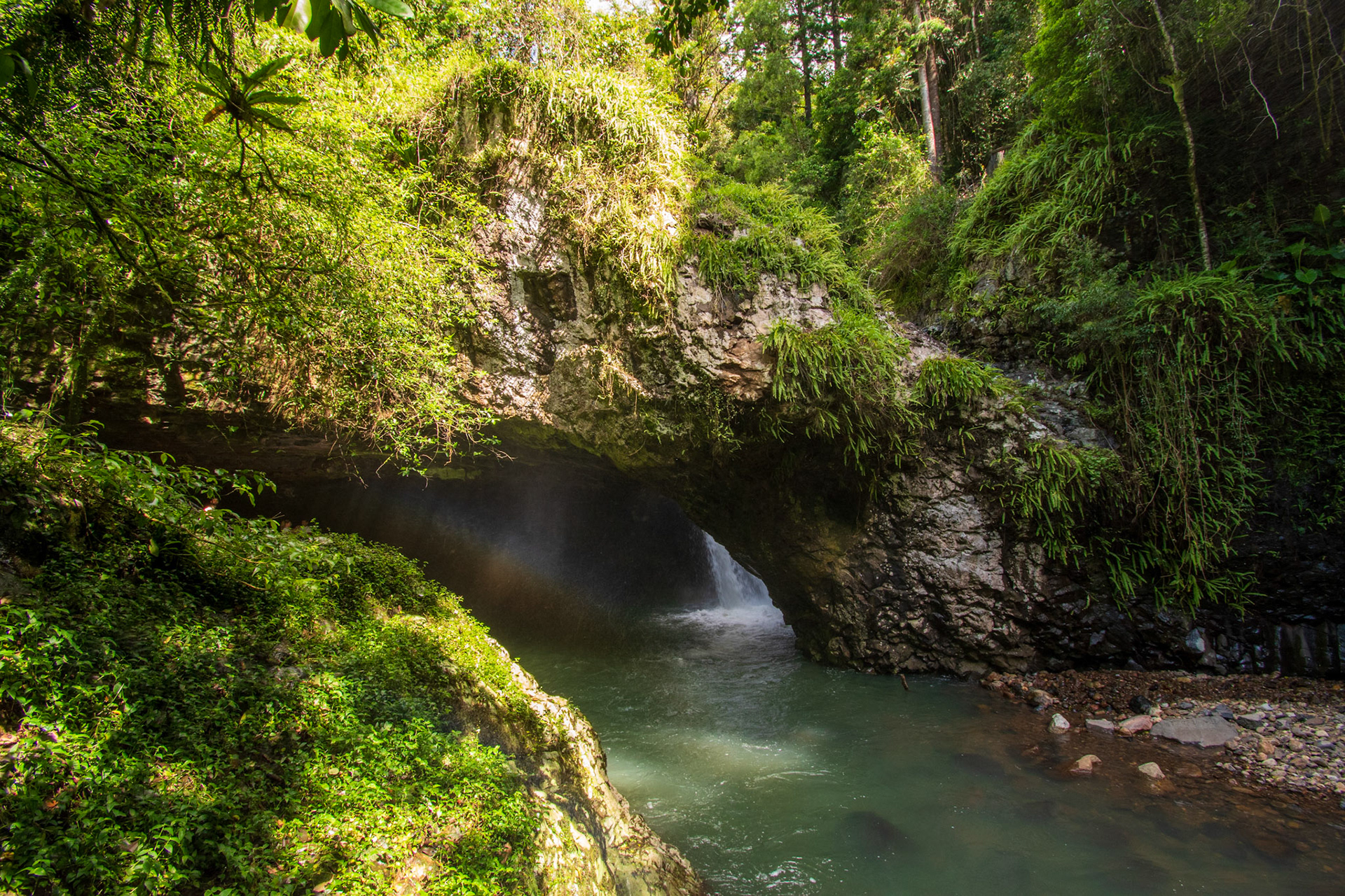 Springbrook National Park 2022