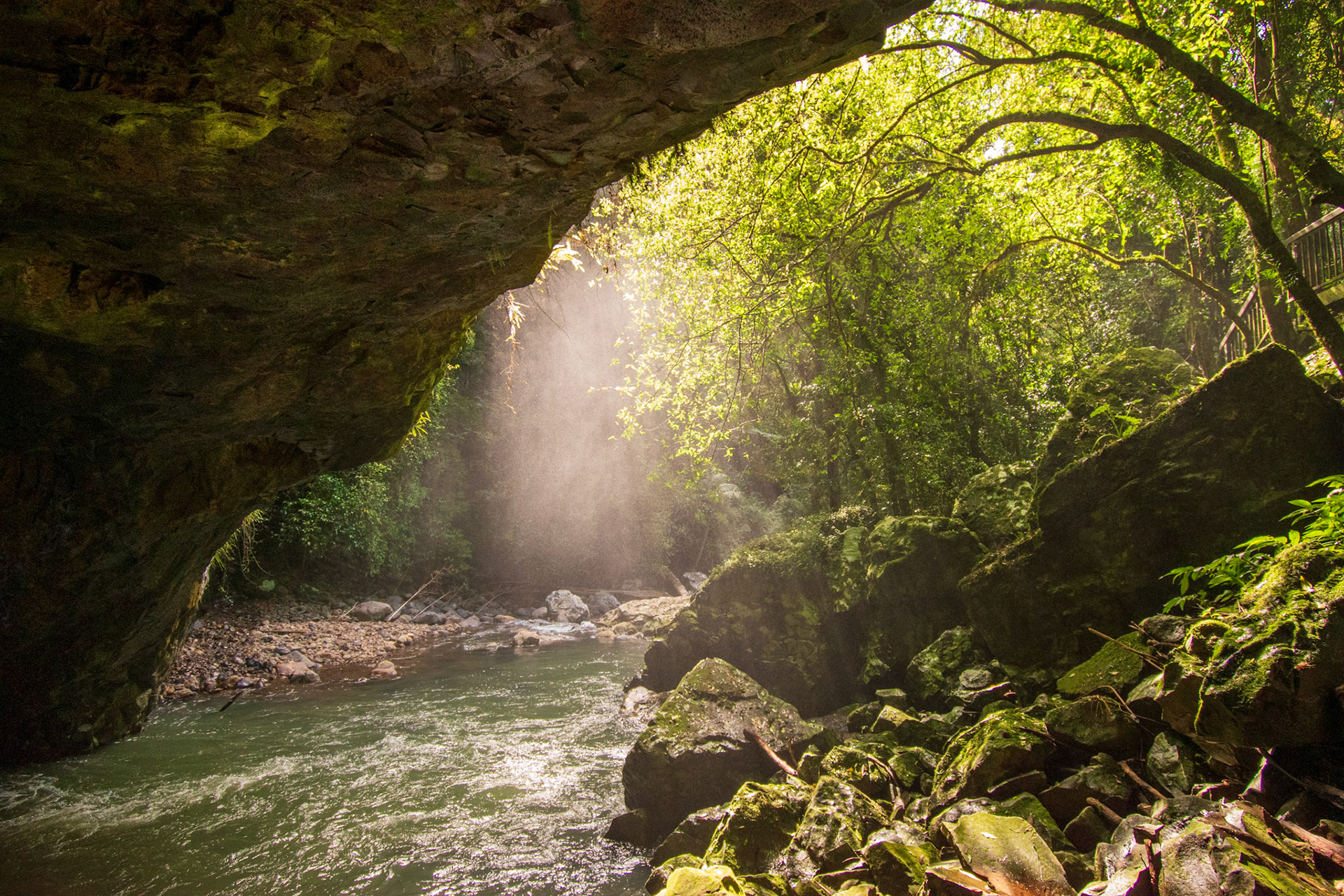 Springbrook National Park 2022