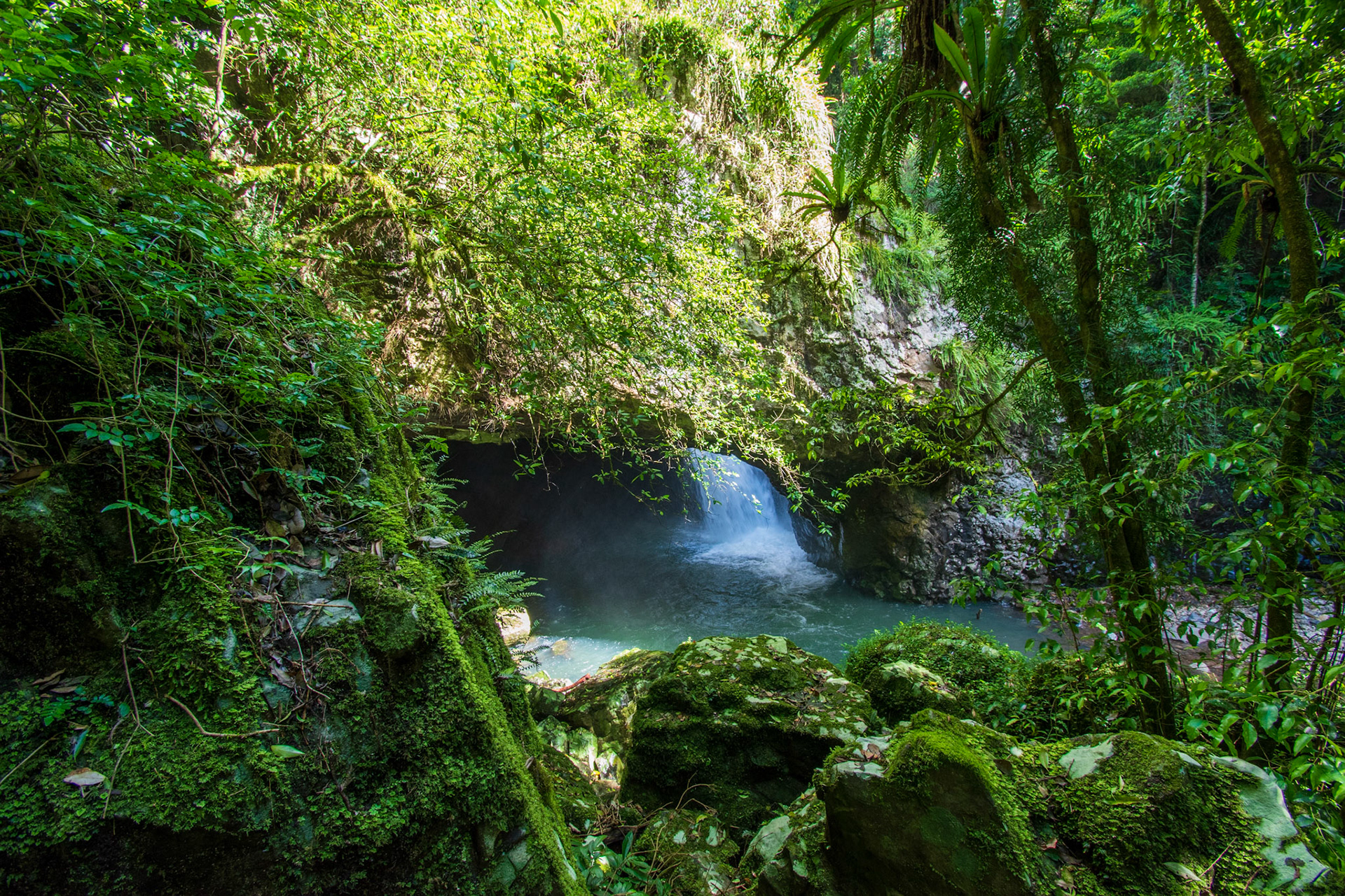Springbrook National Park 2022