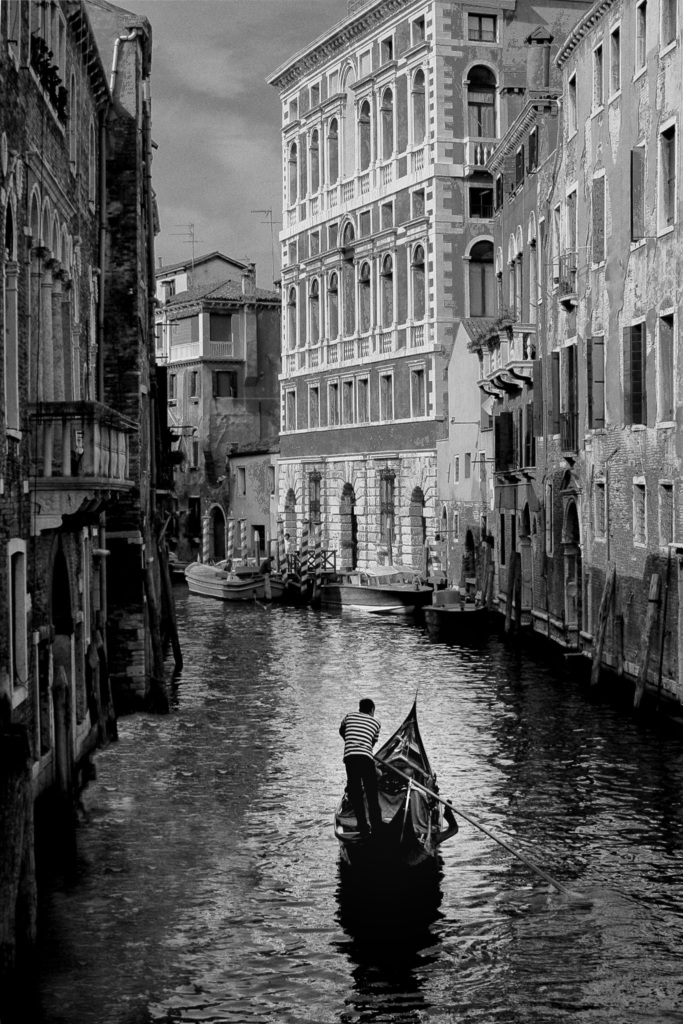 Venezia