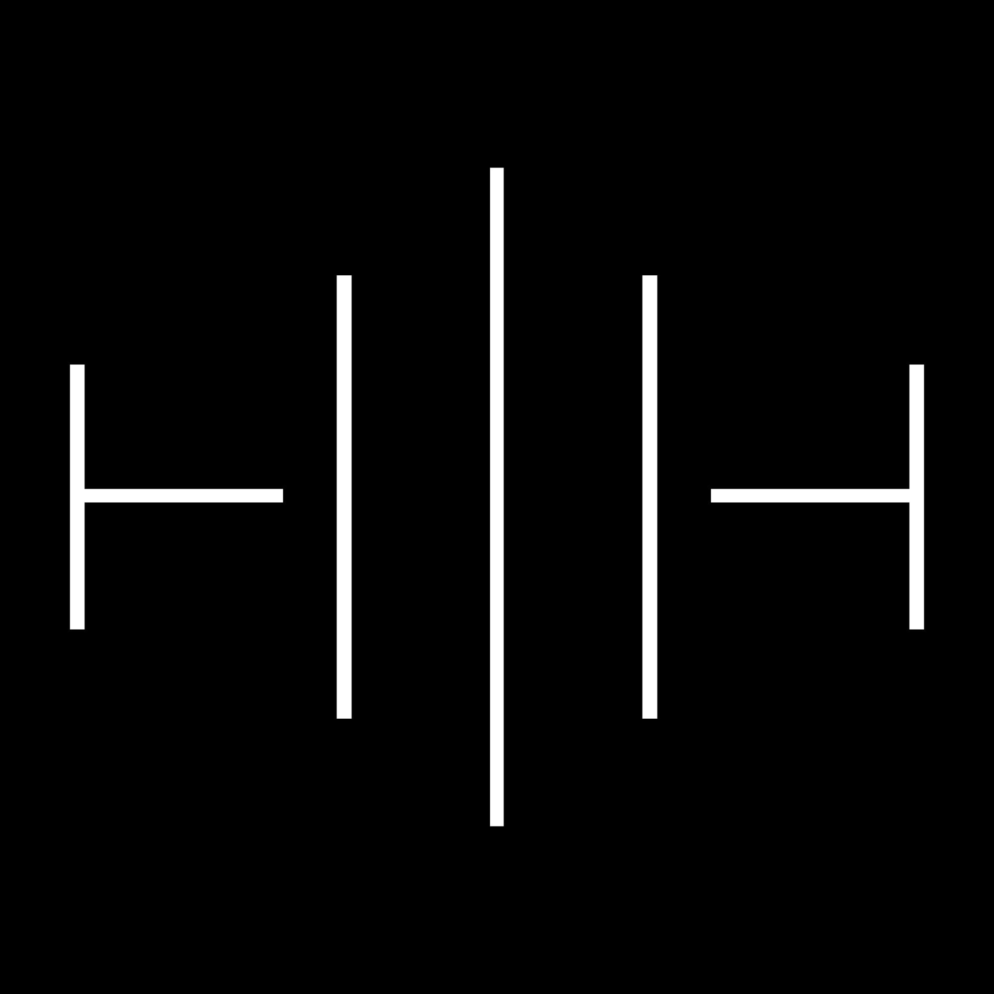 Han Holstein