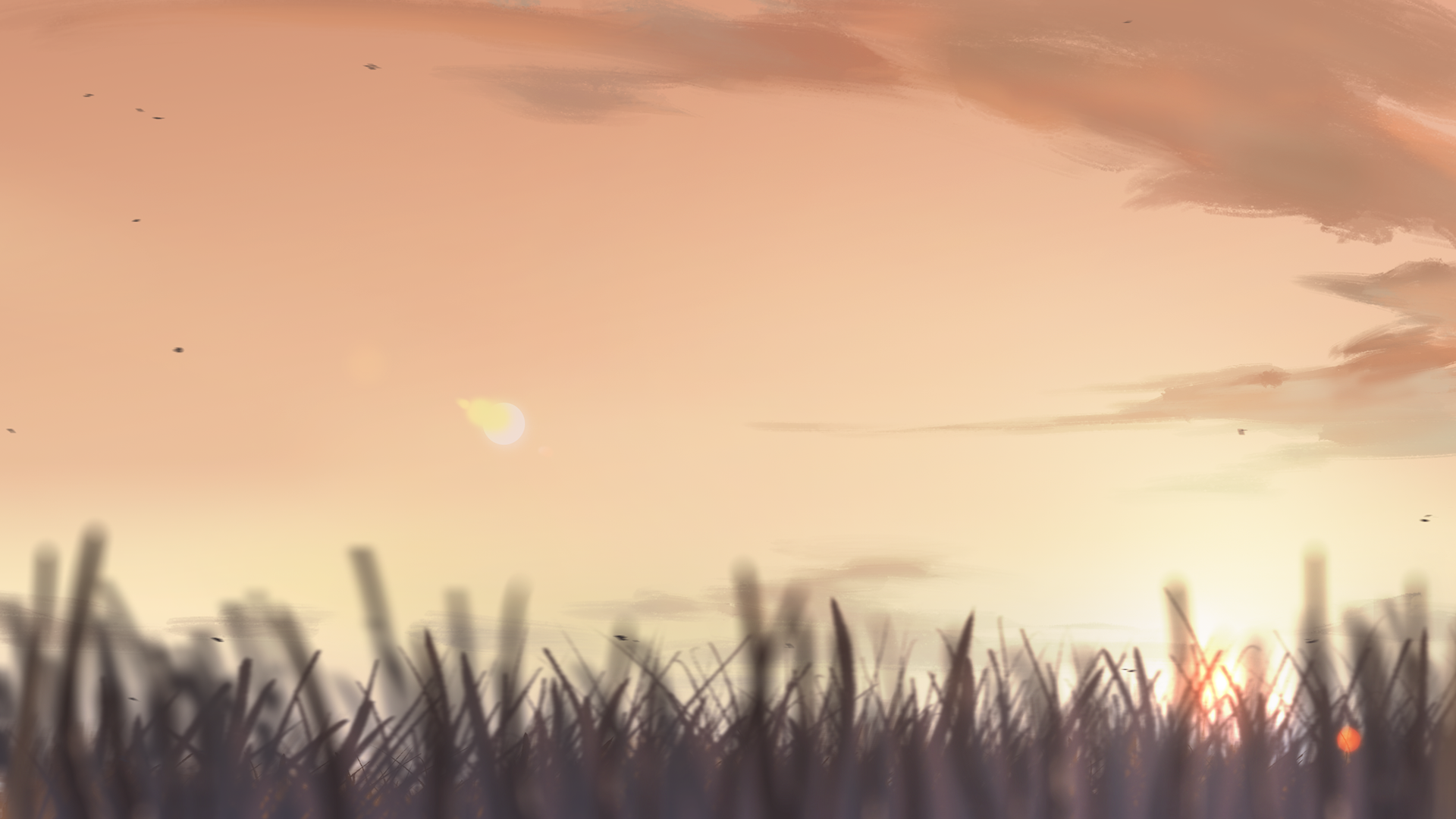 Shot16 BG