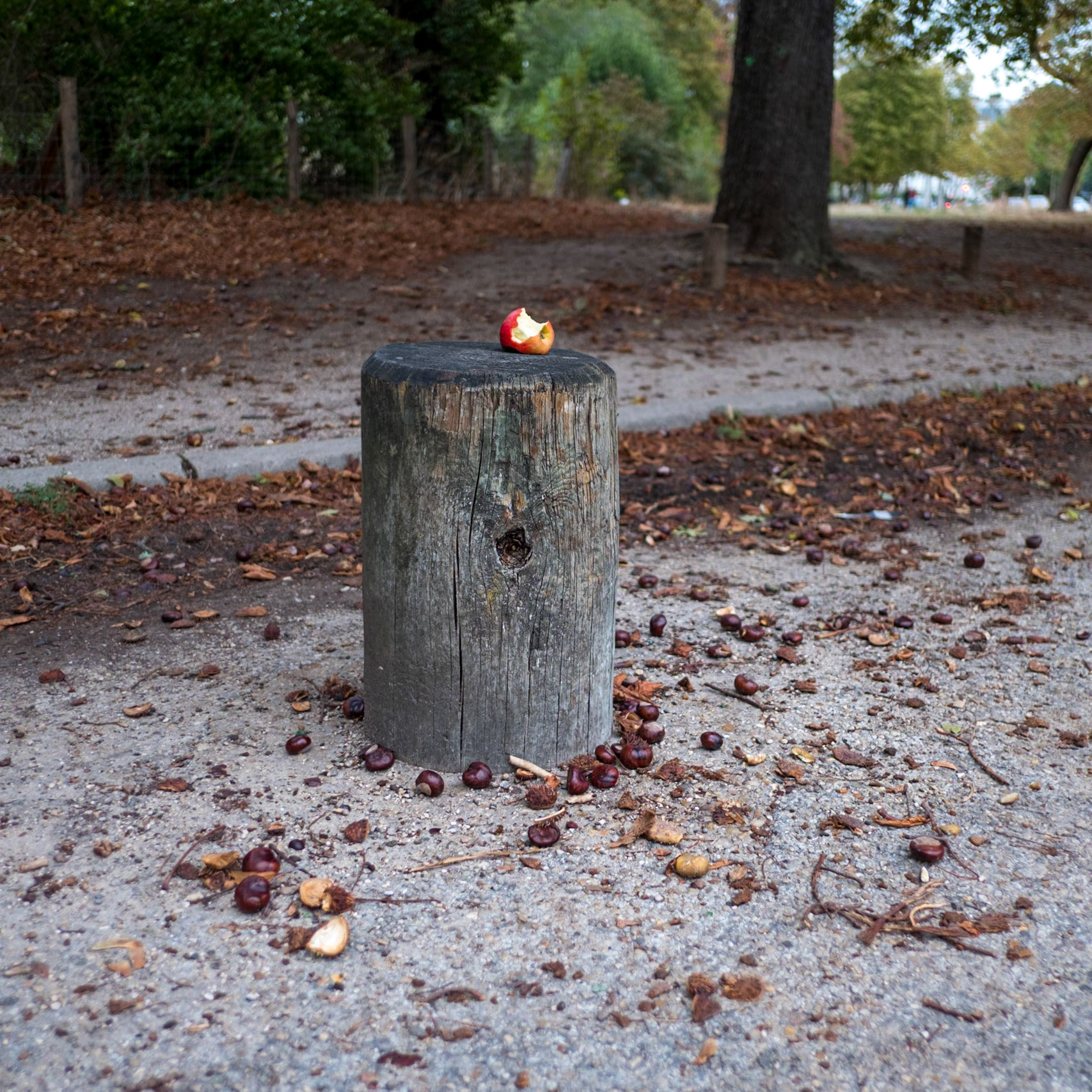 Blanche Neige serait-elle passée par là ?!
