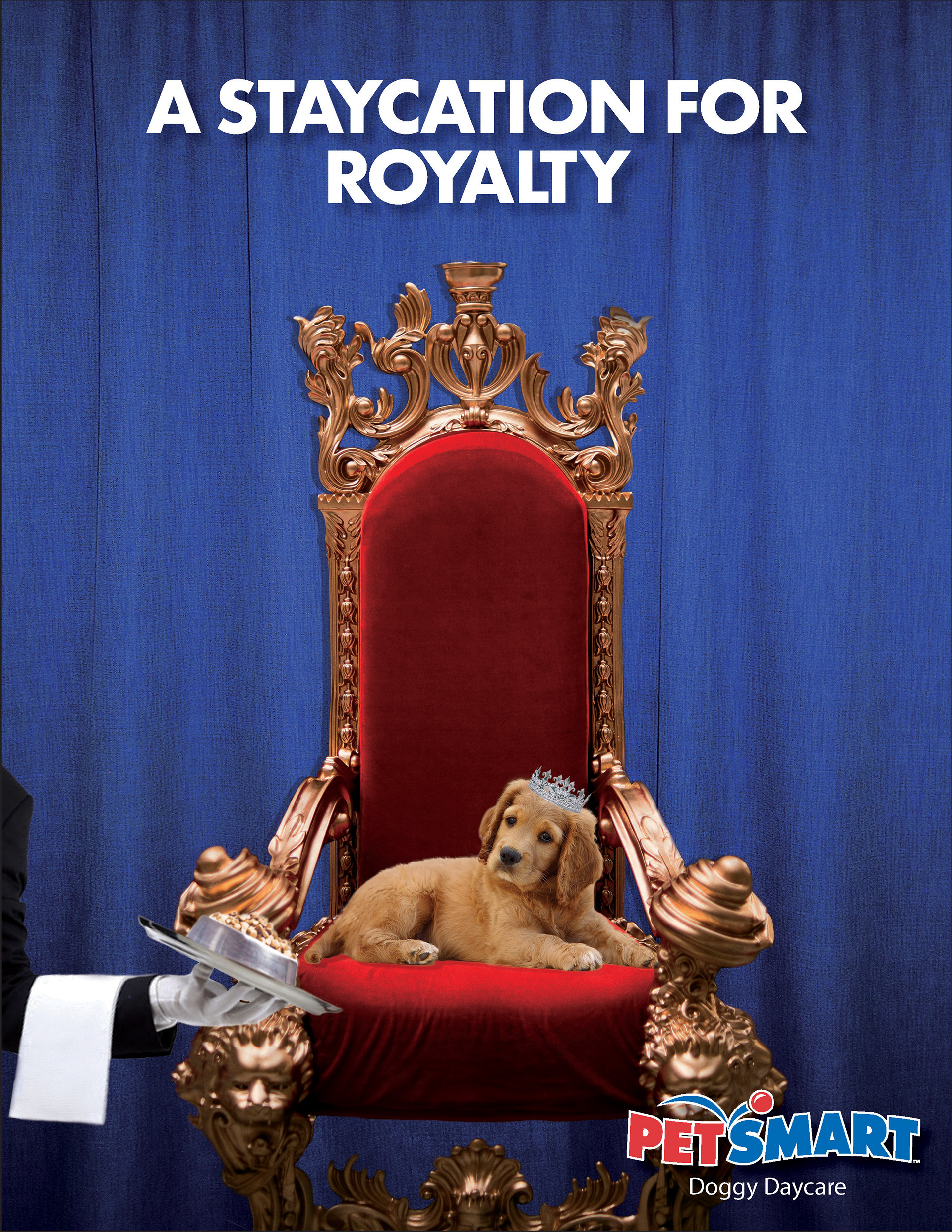 PetSmart Doggy Daycare Ad Flat