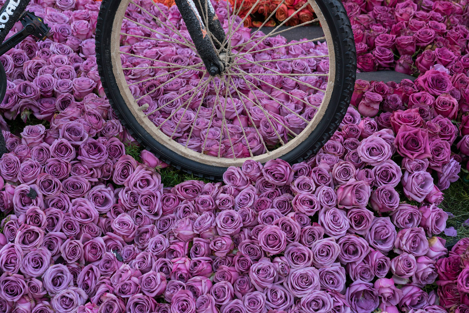 2018 Tournament of Roses Parade