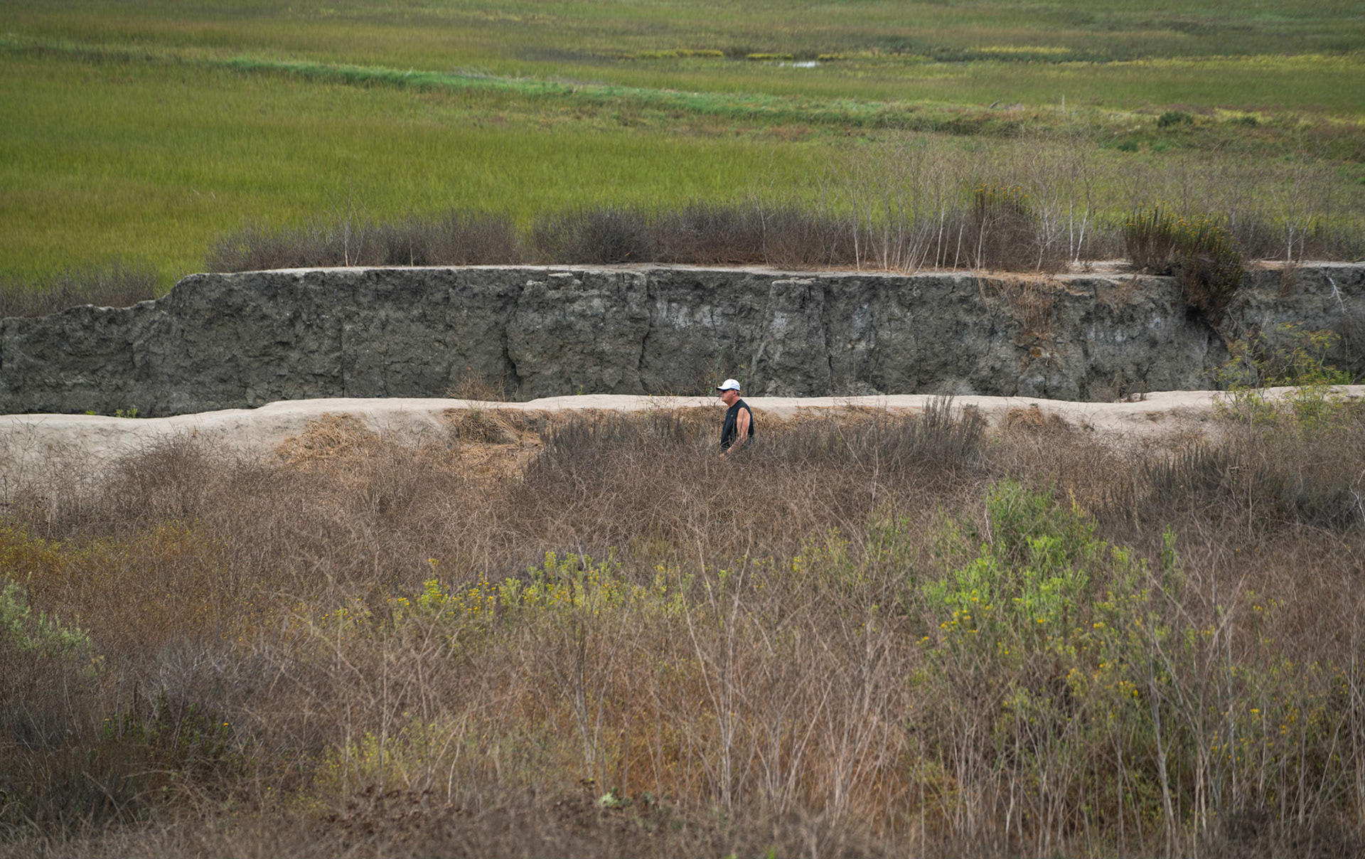 Upper Newport Bay Nature Preserve