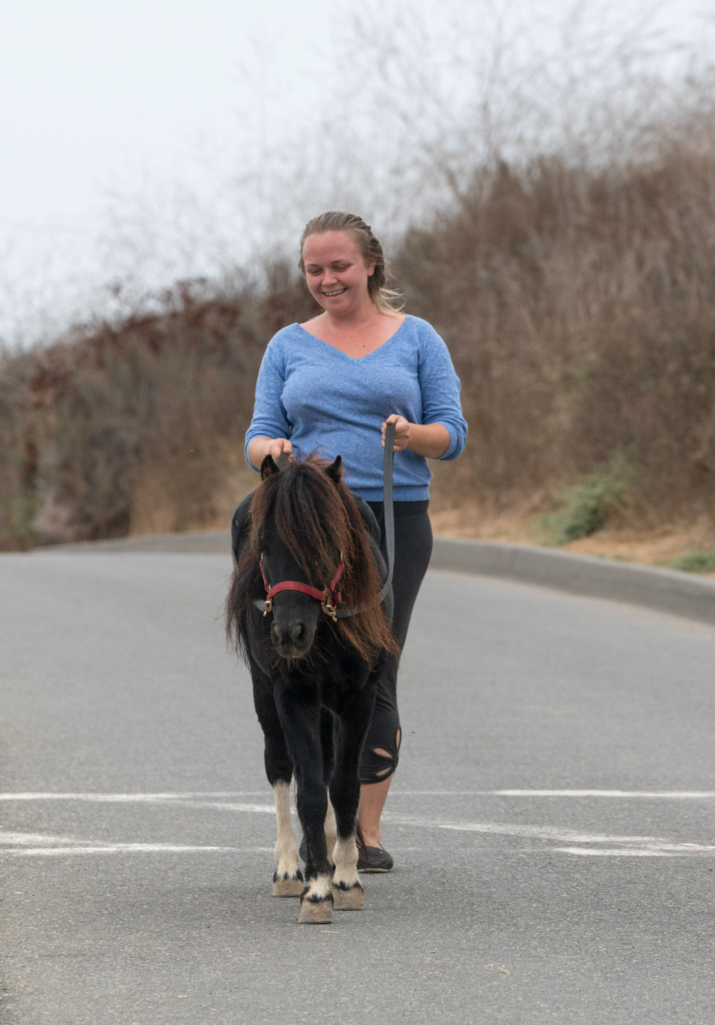 Upper Newport Bay Nature Preserve