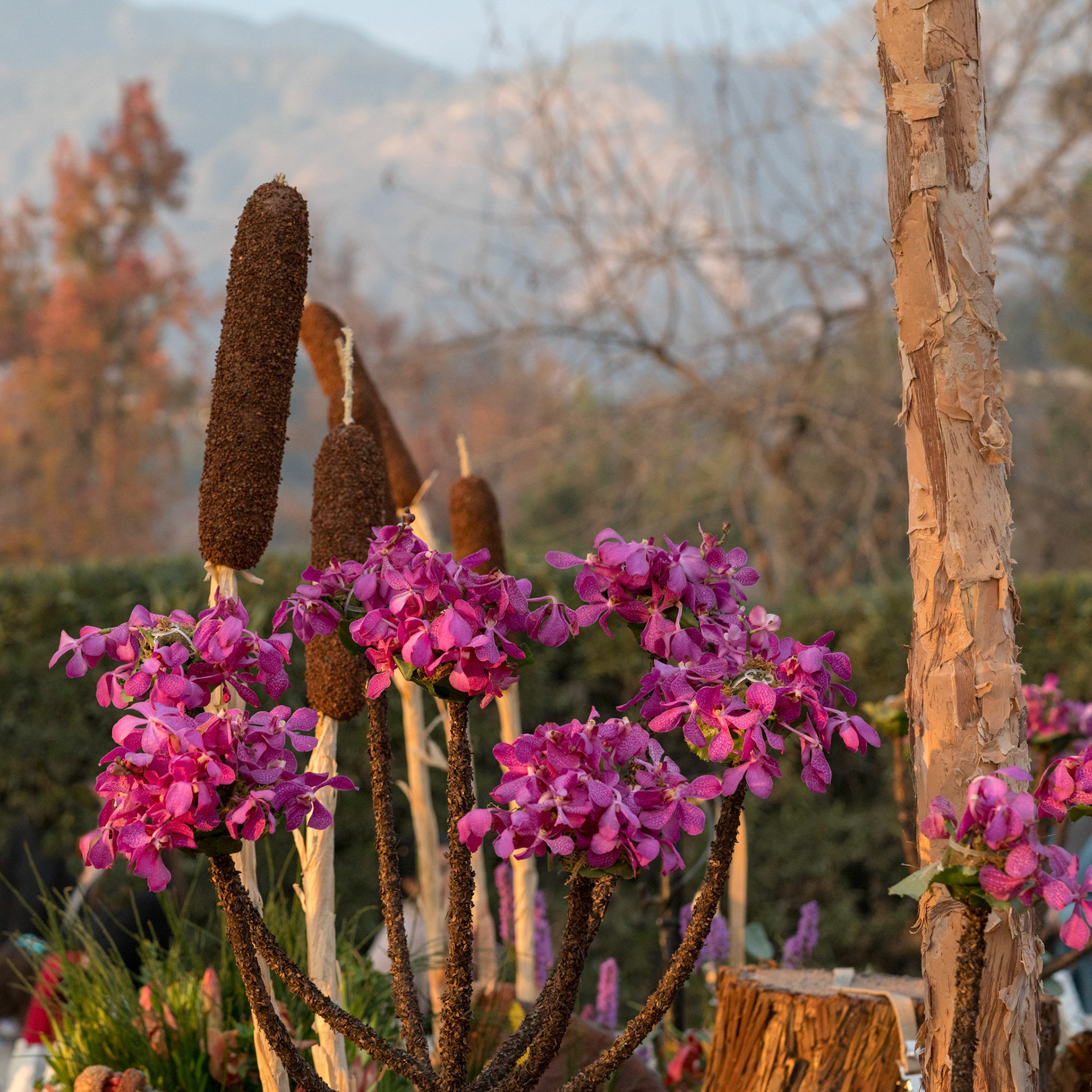 2018 Tournament of Roses Parade