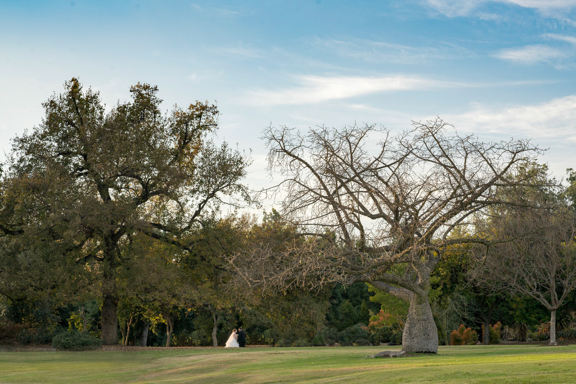 Bridal Scape