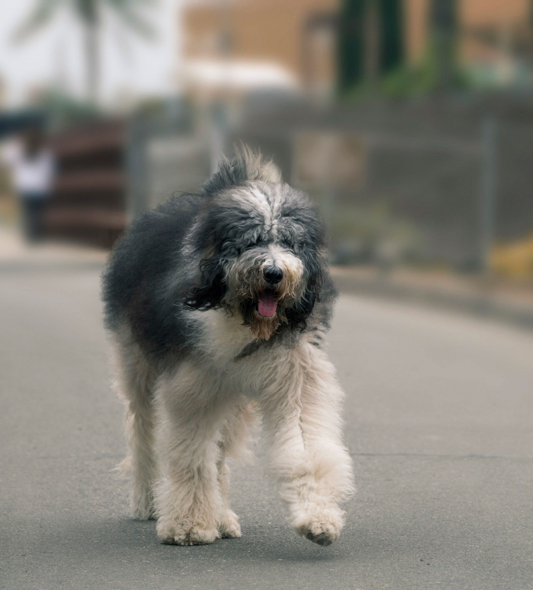 Upper Newport Bay Nature Preserve