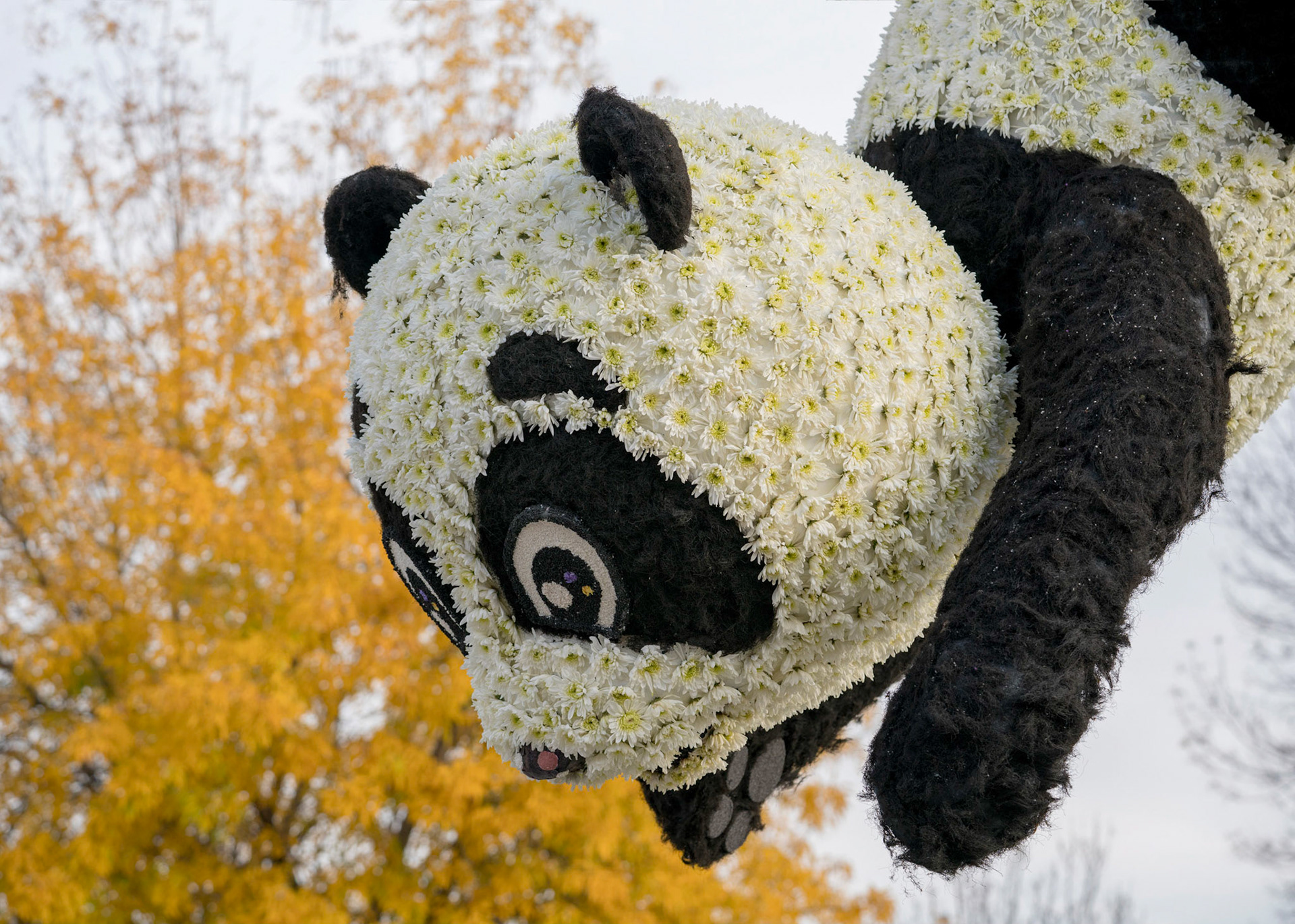 2018 Tournament of Roses Parade