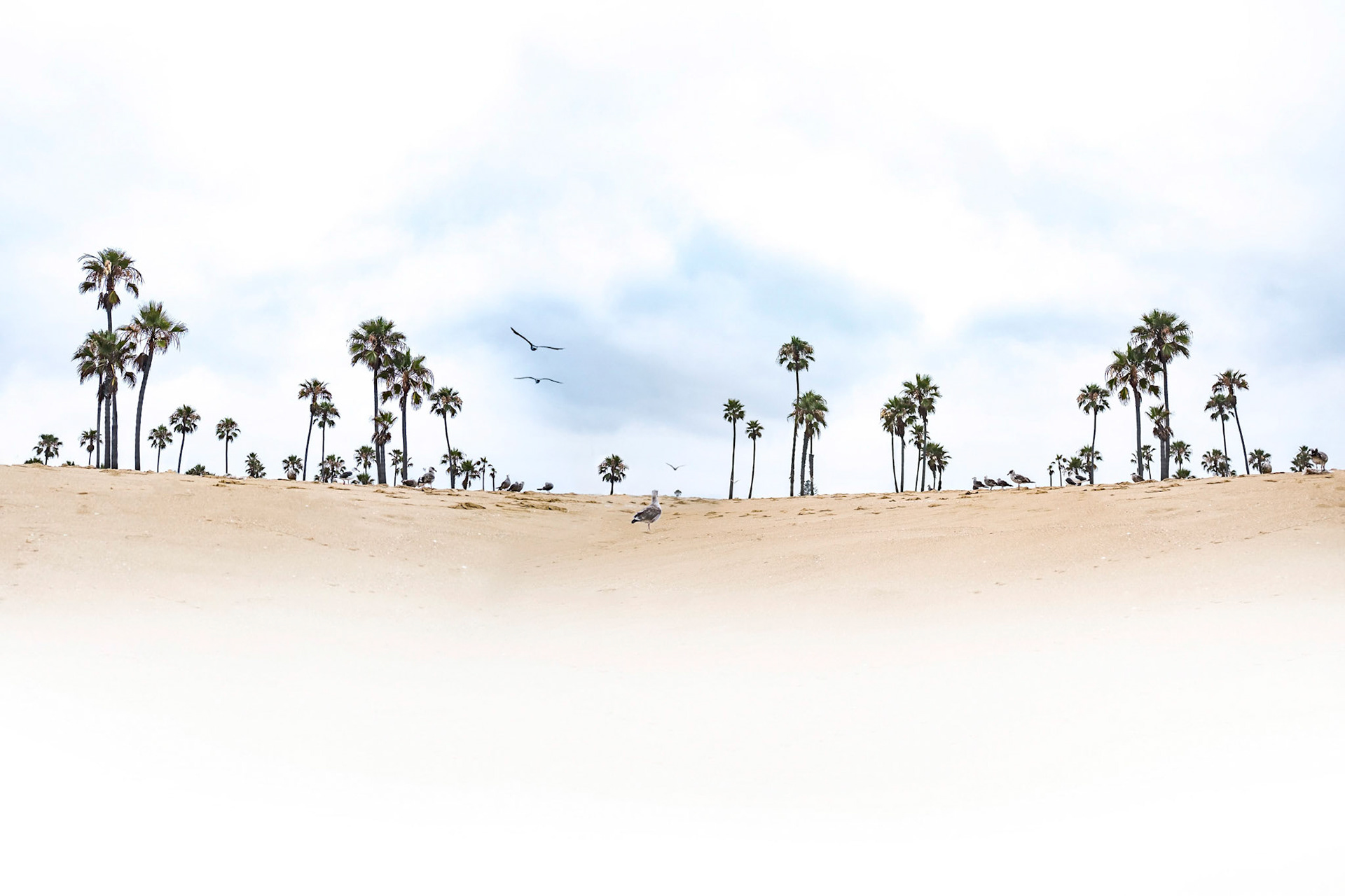 Balboa Peninsula Park