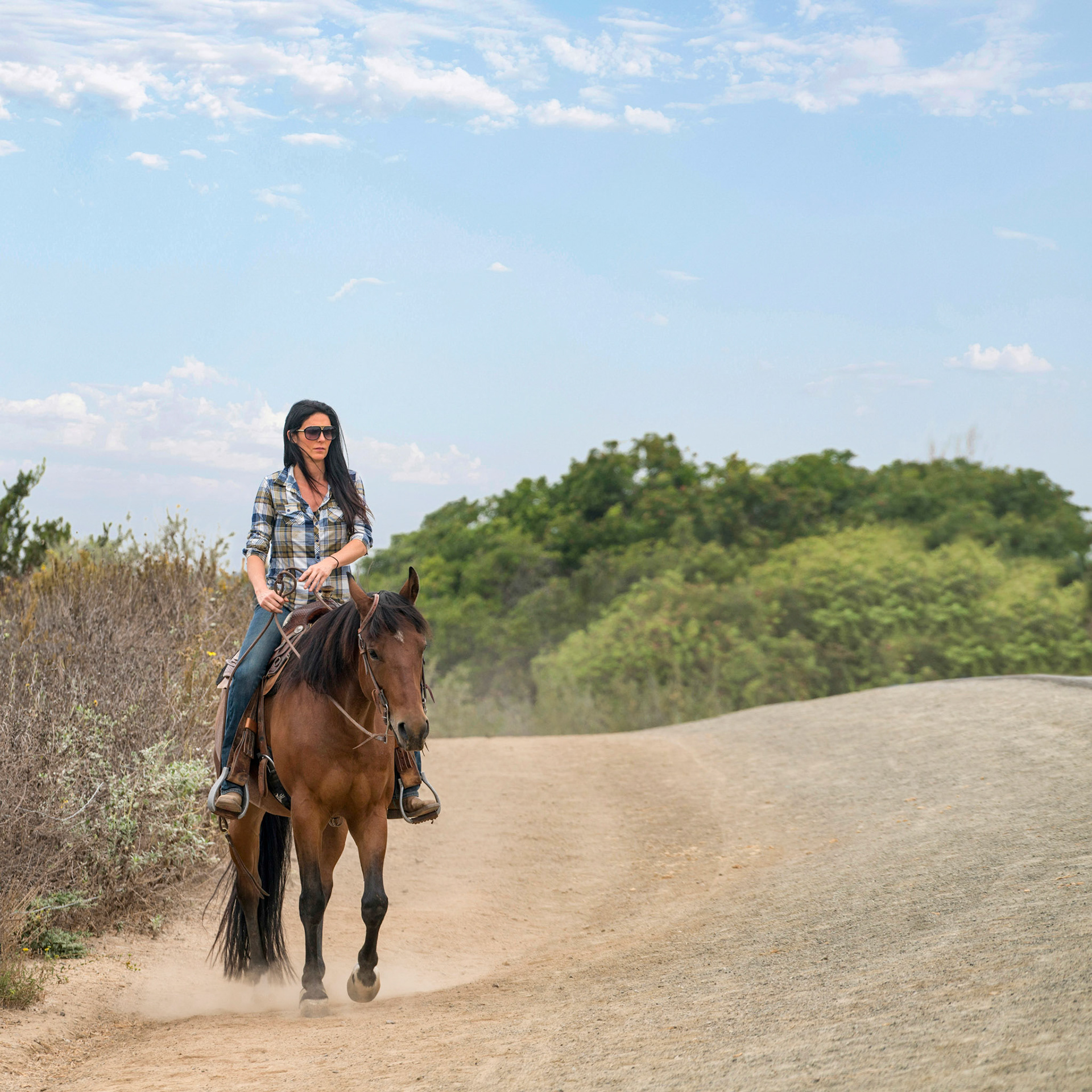 Upper Newport Bay Nature Preserve
