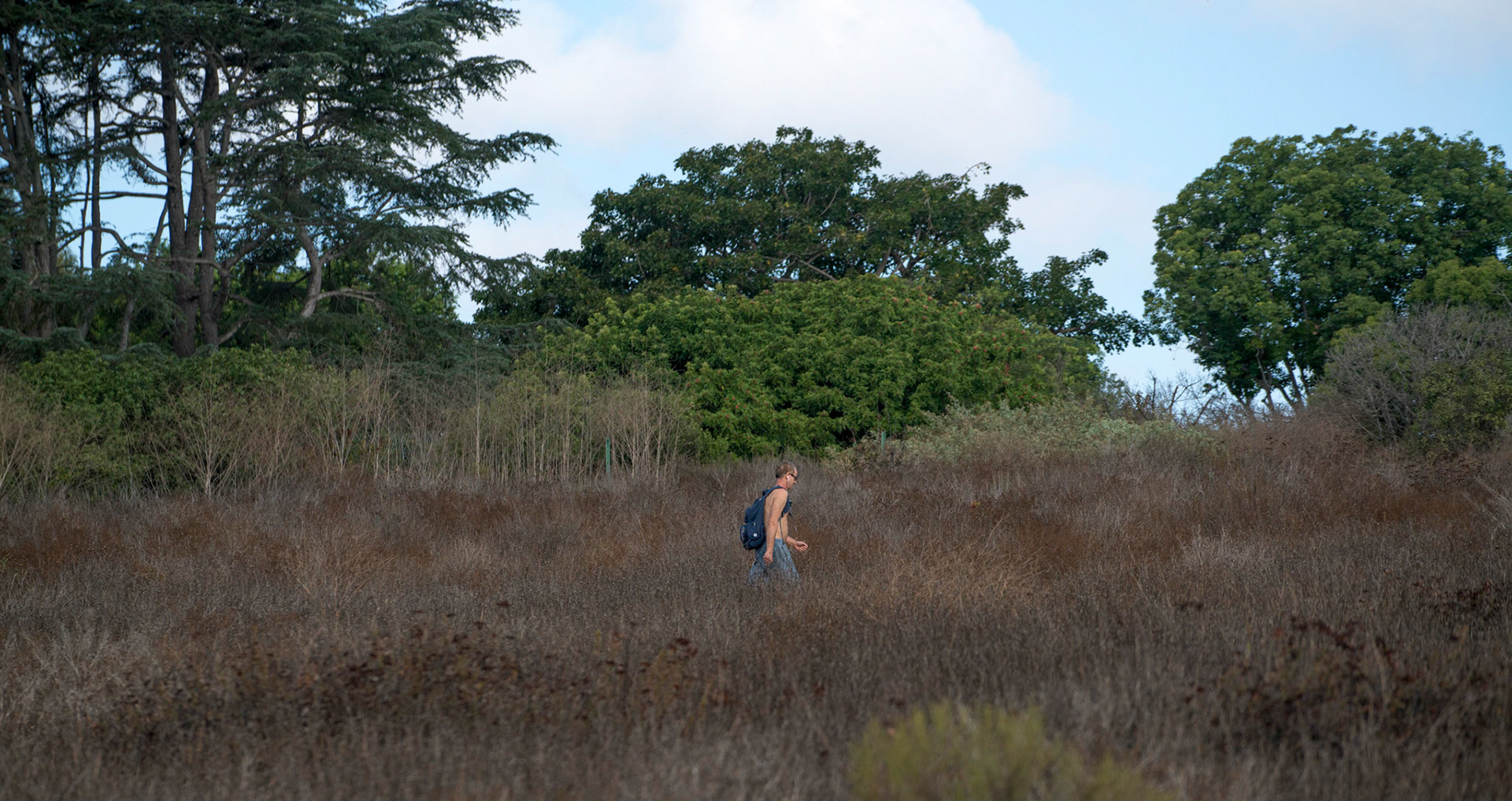 Upper Newport Bay Nature Preserve