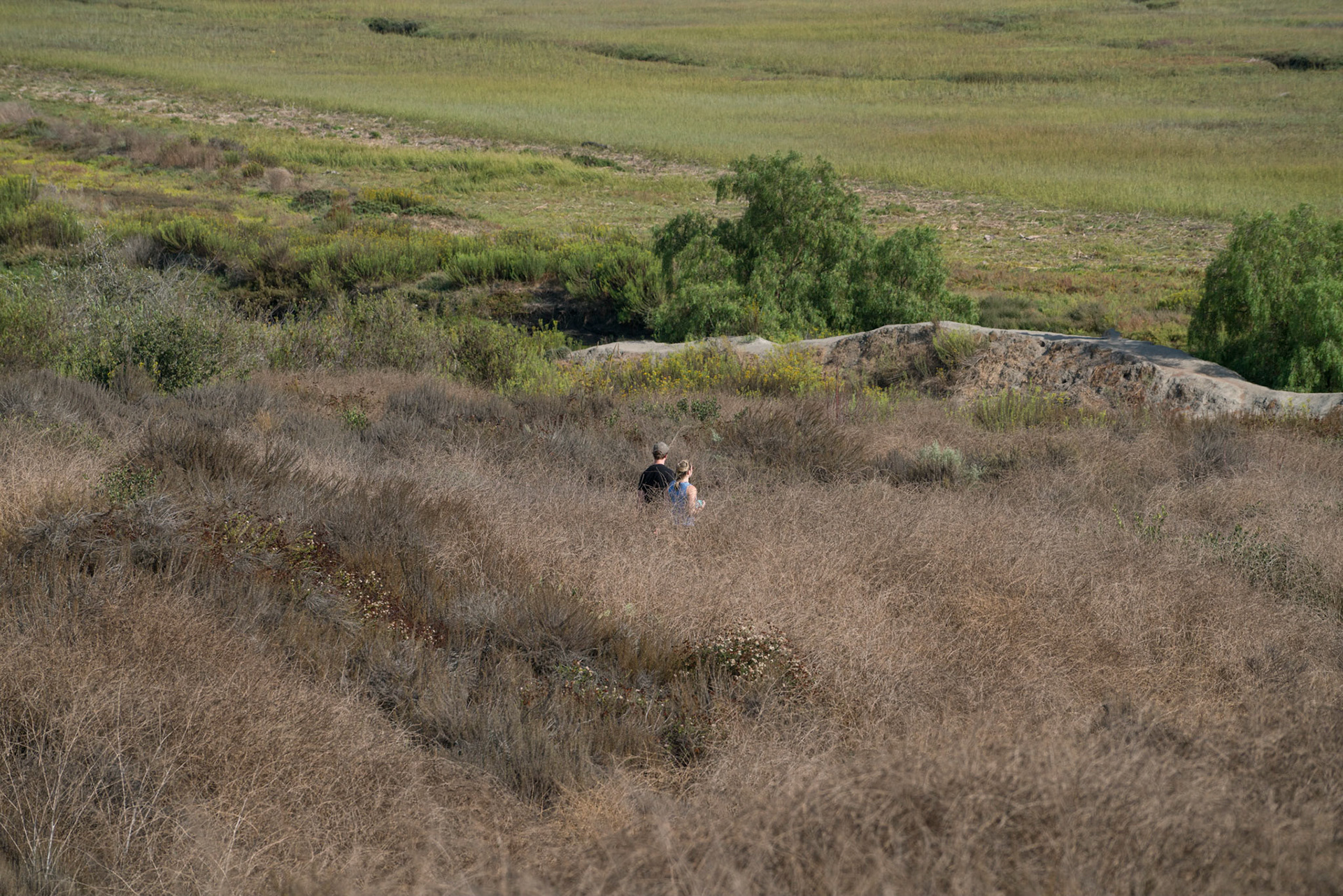 Upper Newport Bay Nature Preserve
