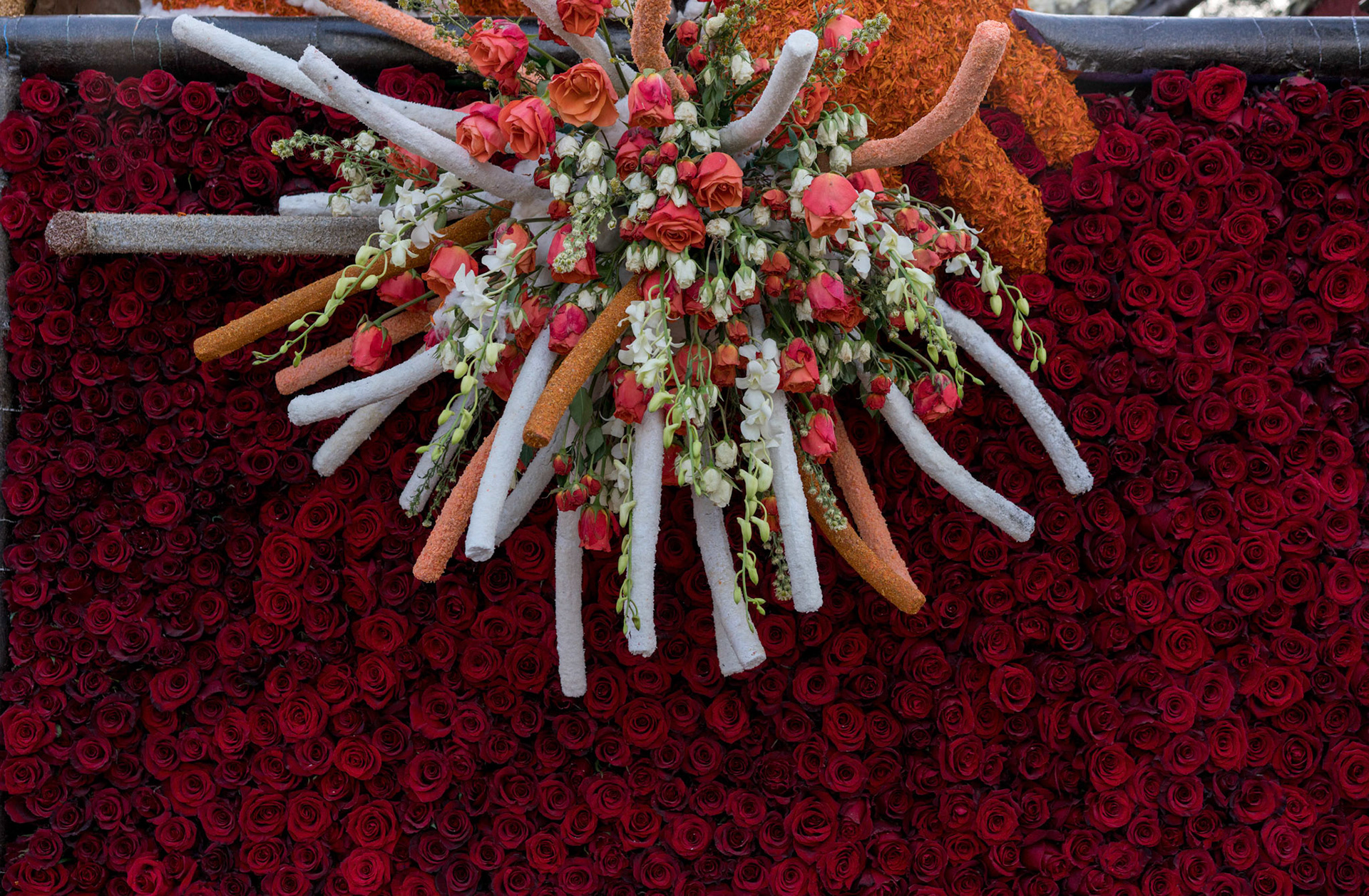 2018 Tournament of Roses Parade