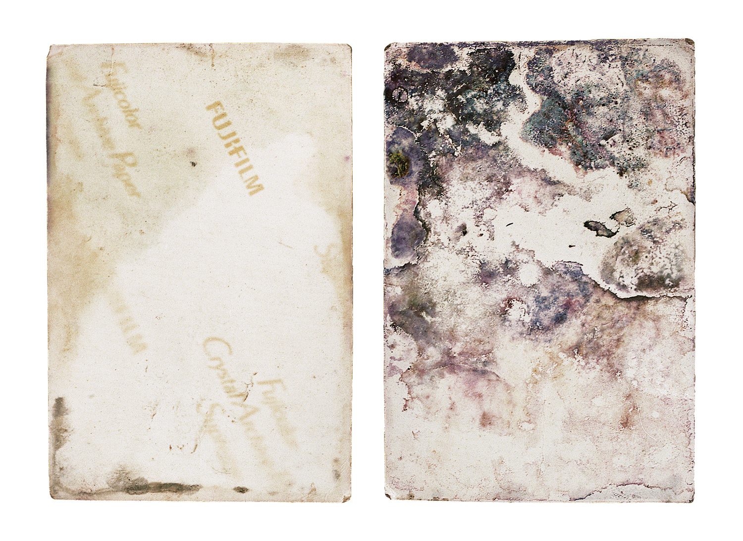 Reproduction photographique d'une image échouée