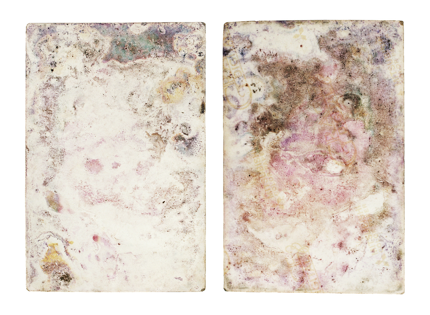 Reproduction photographique d'une image échouée