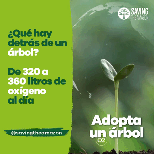 Campaña pauta RRSS Saving the Amazon