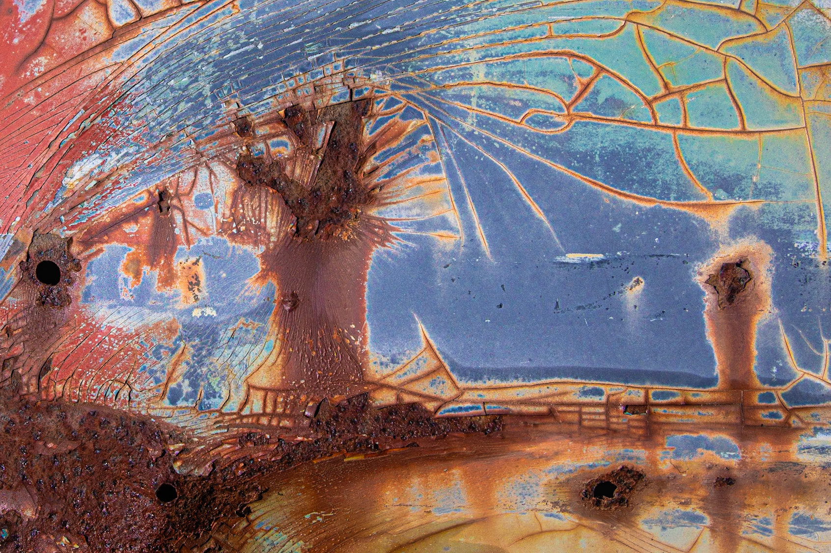 Baobab Reflections