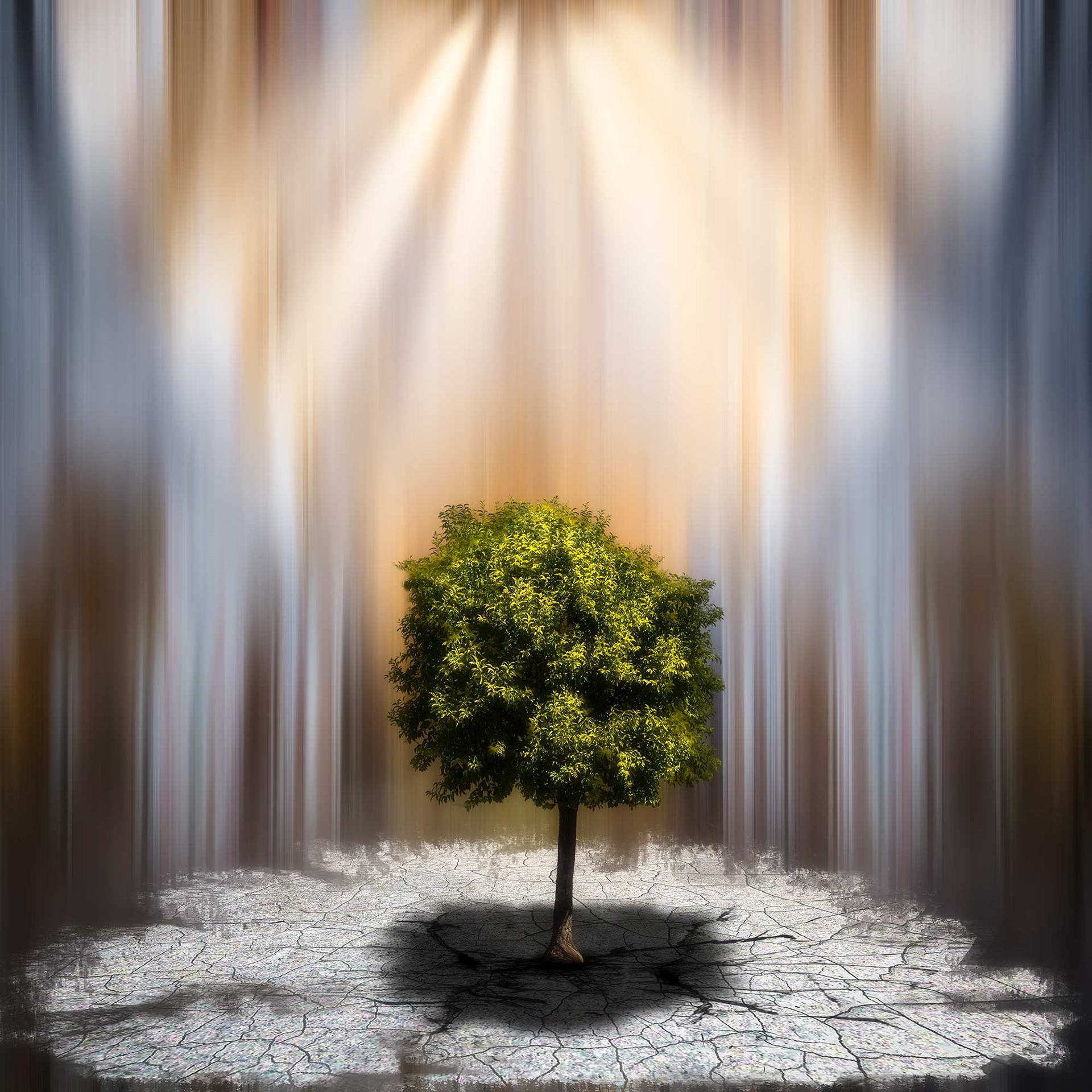 The Tree of Life