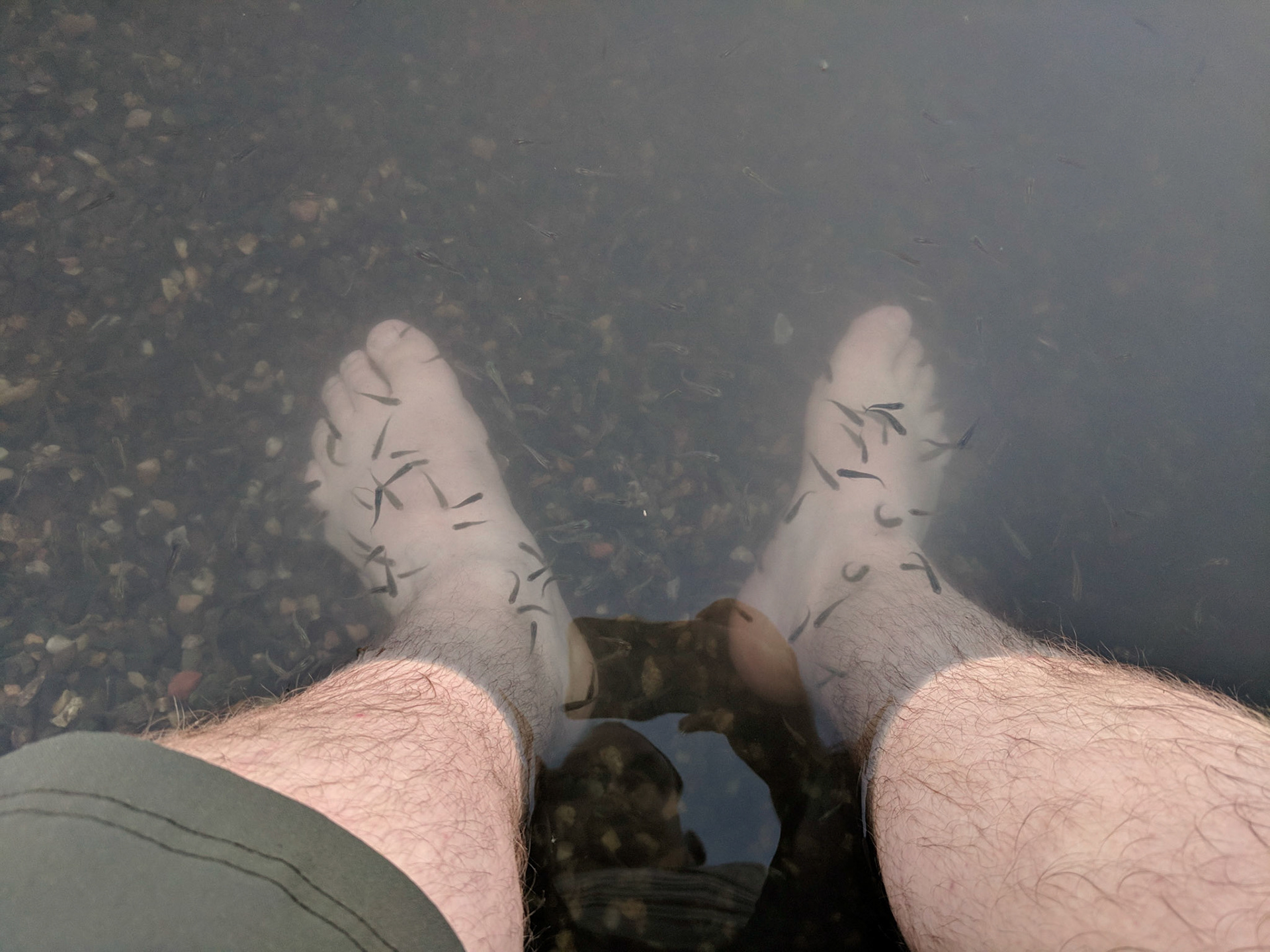 Lake - Palisade, Colorado