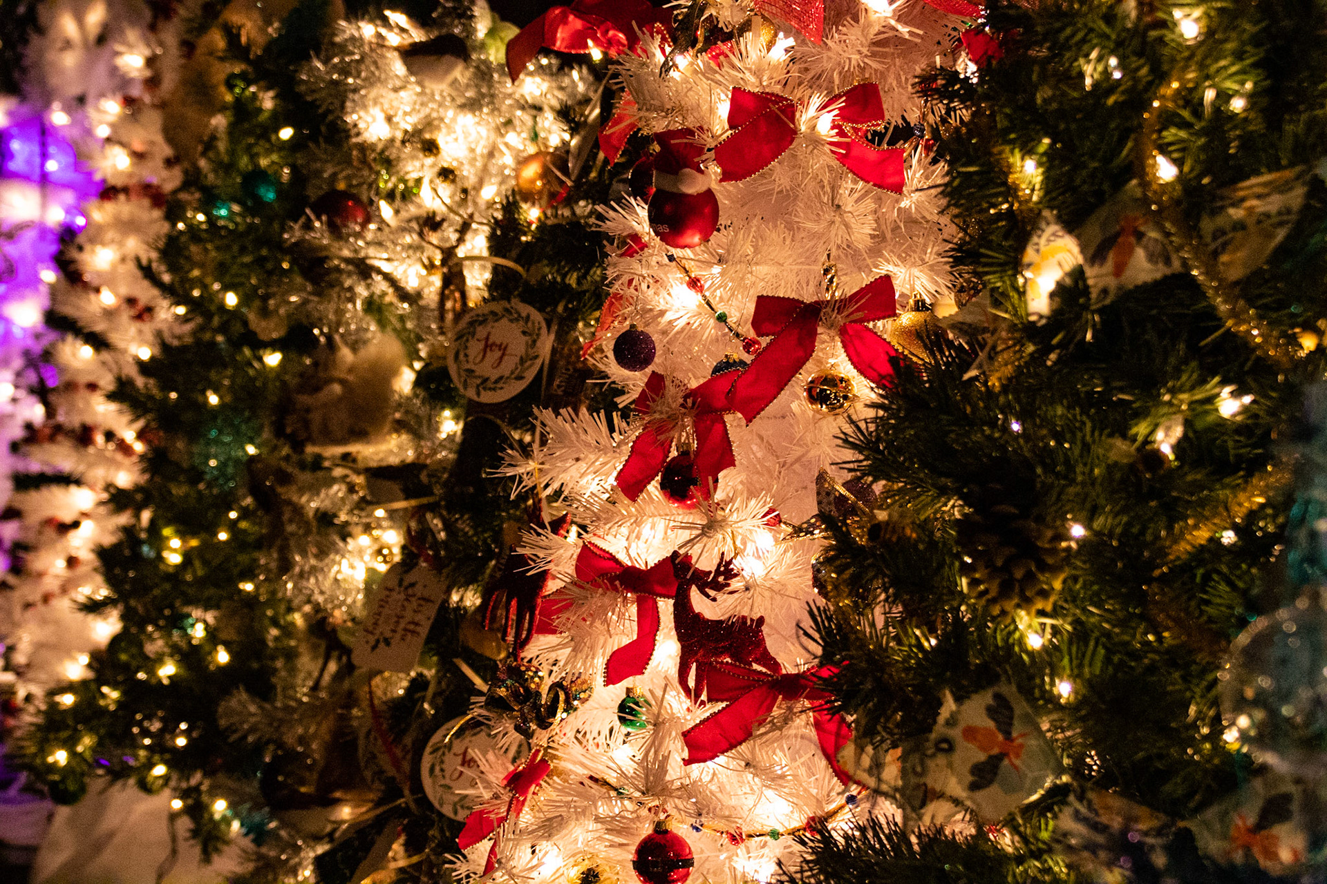 The Stanley Hotel - Estes Park, Colorado
