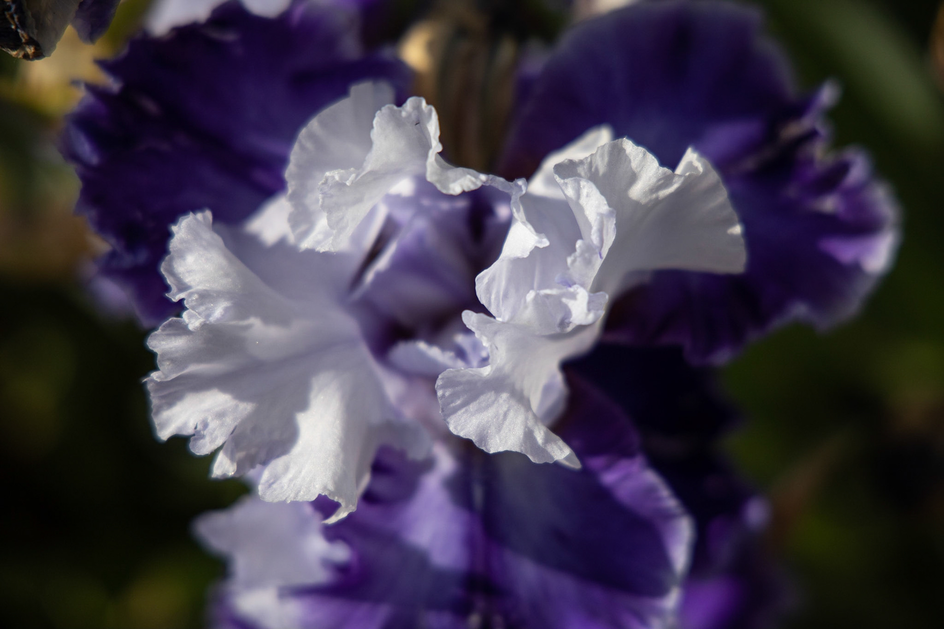 Denver Botanic Gardens