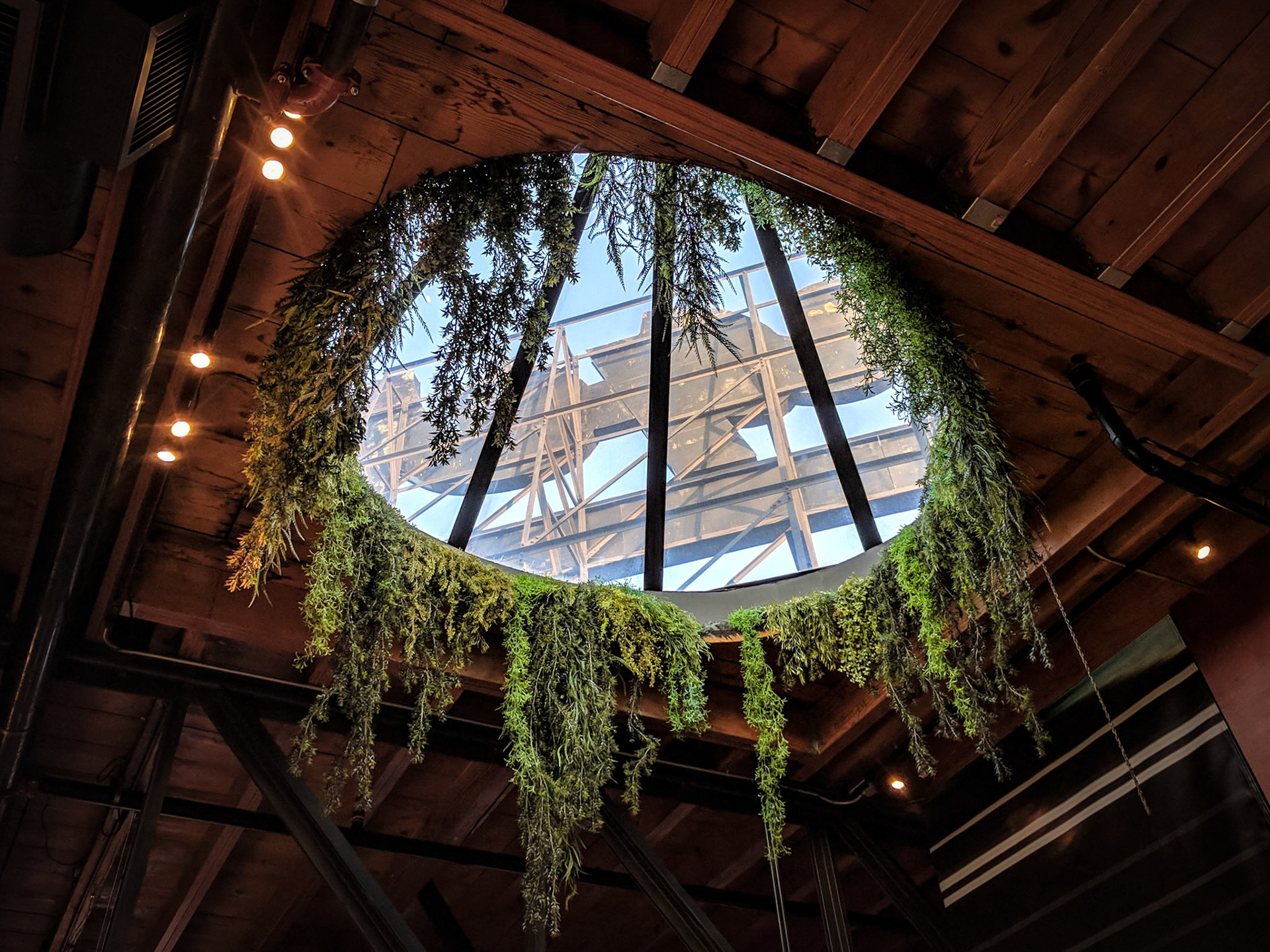 Linger Skylight - Denver, Colorado