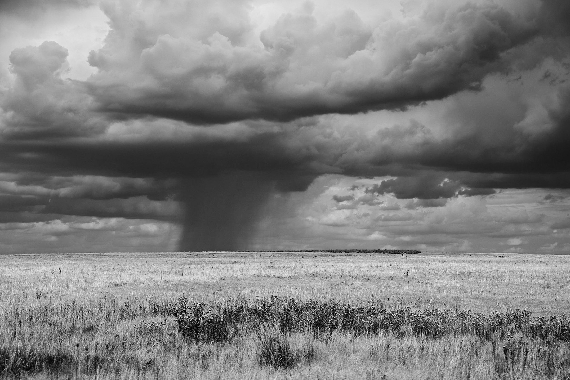 Storm Clouds Gather at Rocky Mountain Arsenal