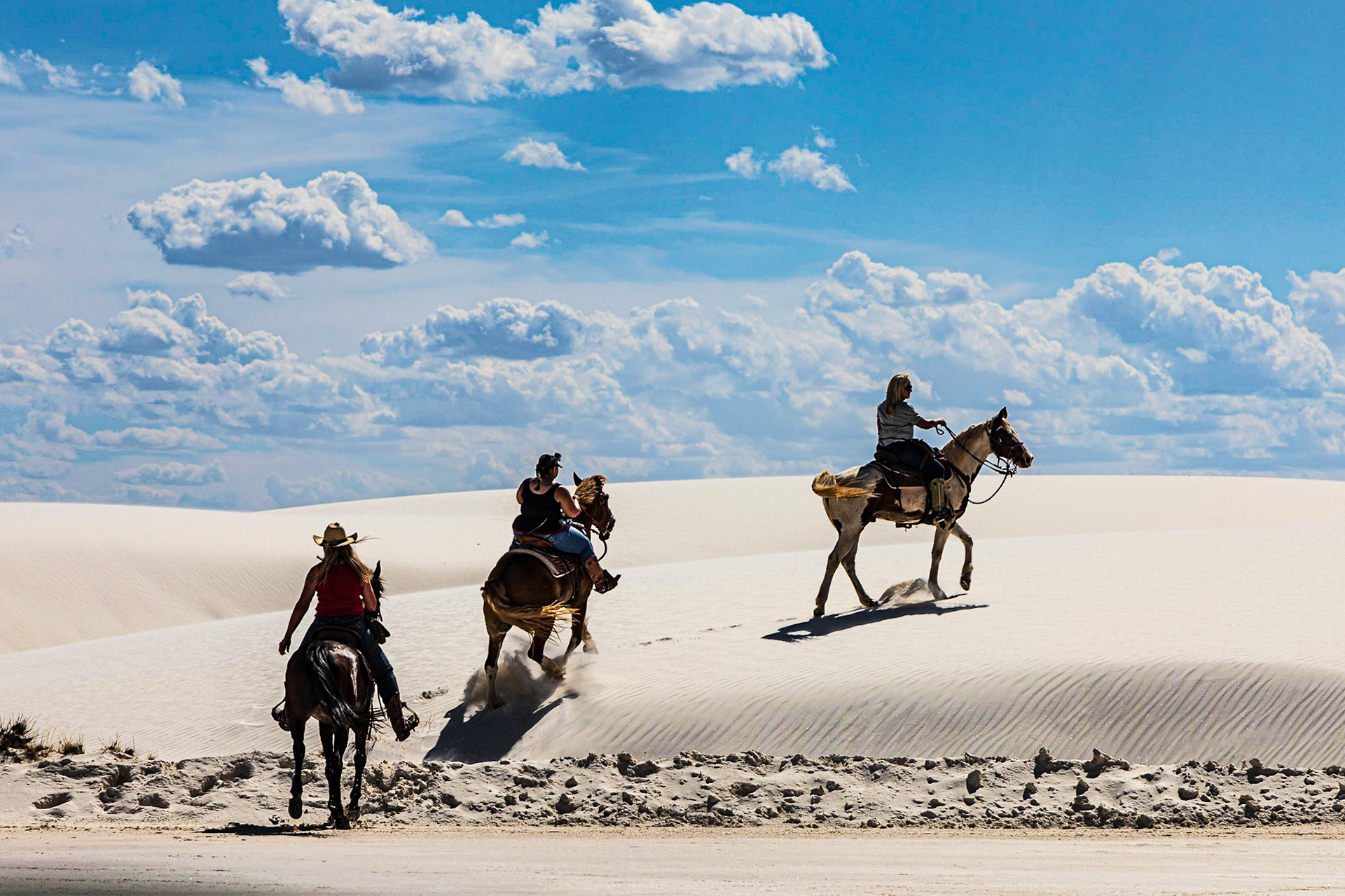 Horses at White Sands National Monument