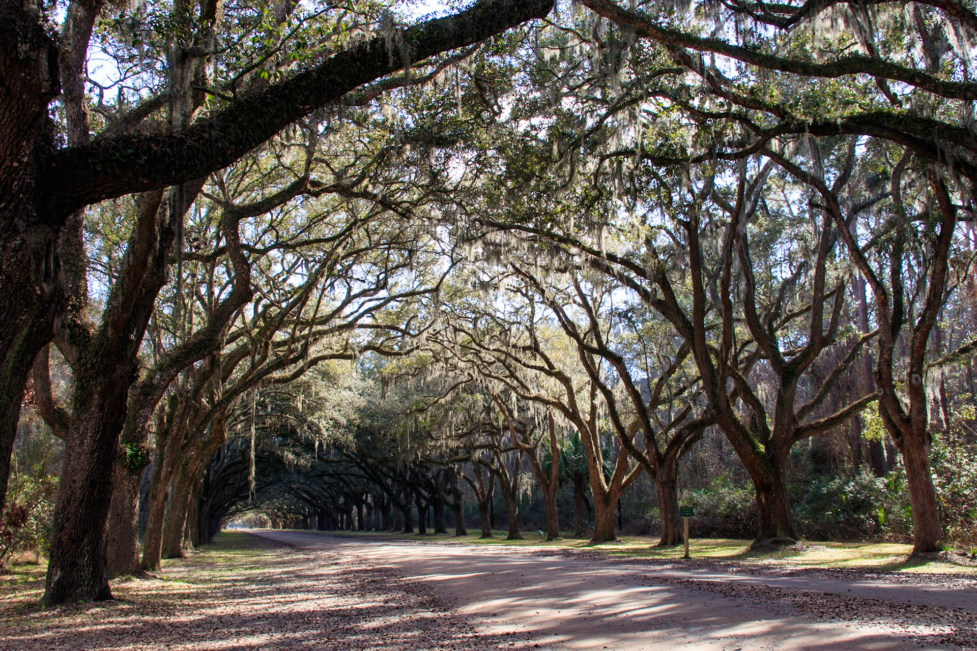 Wormsloe Plantation - Savannah, Georgia