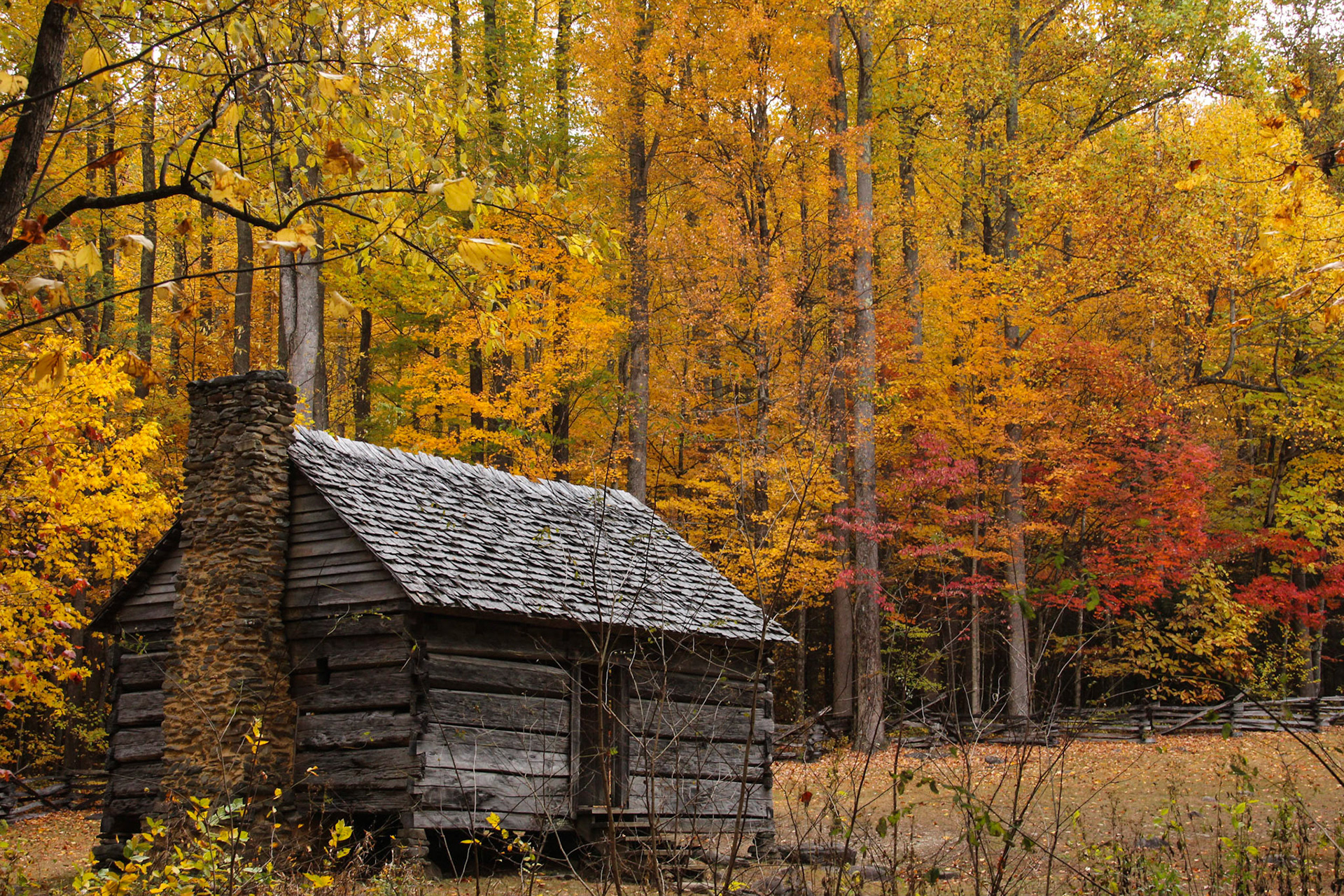 Cabin - Great Smoky Mountains National Park
