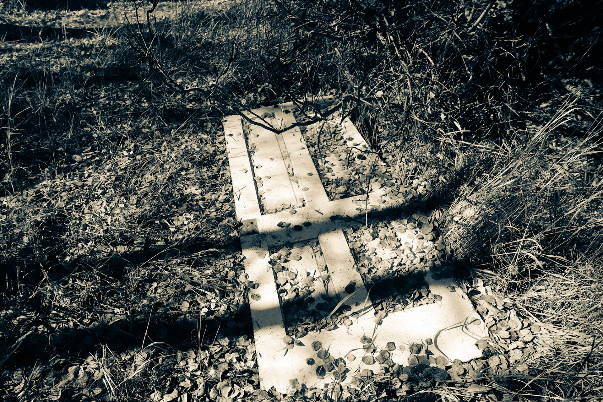 Old Door - Ironton, Colorado
