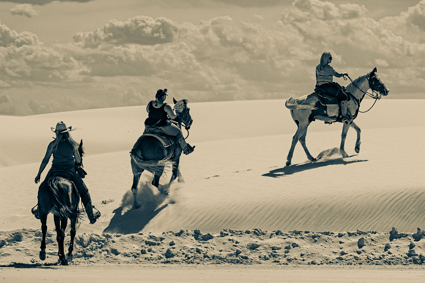 Horses at White Sands National Monument