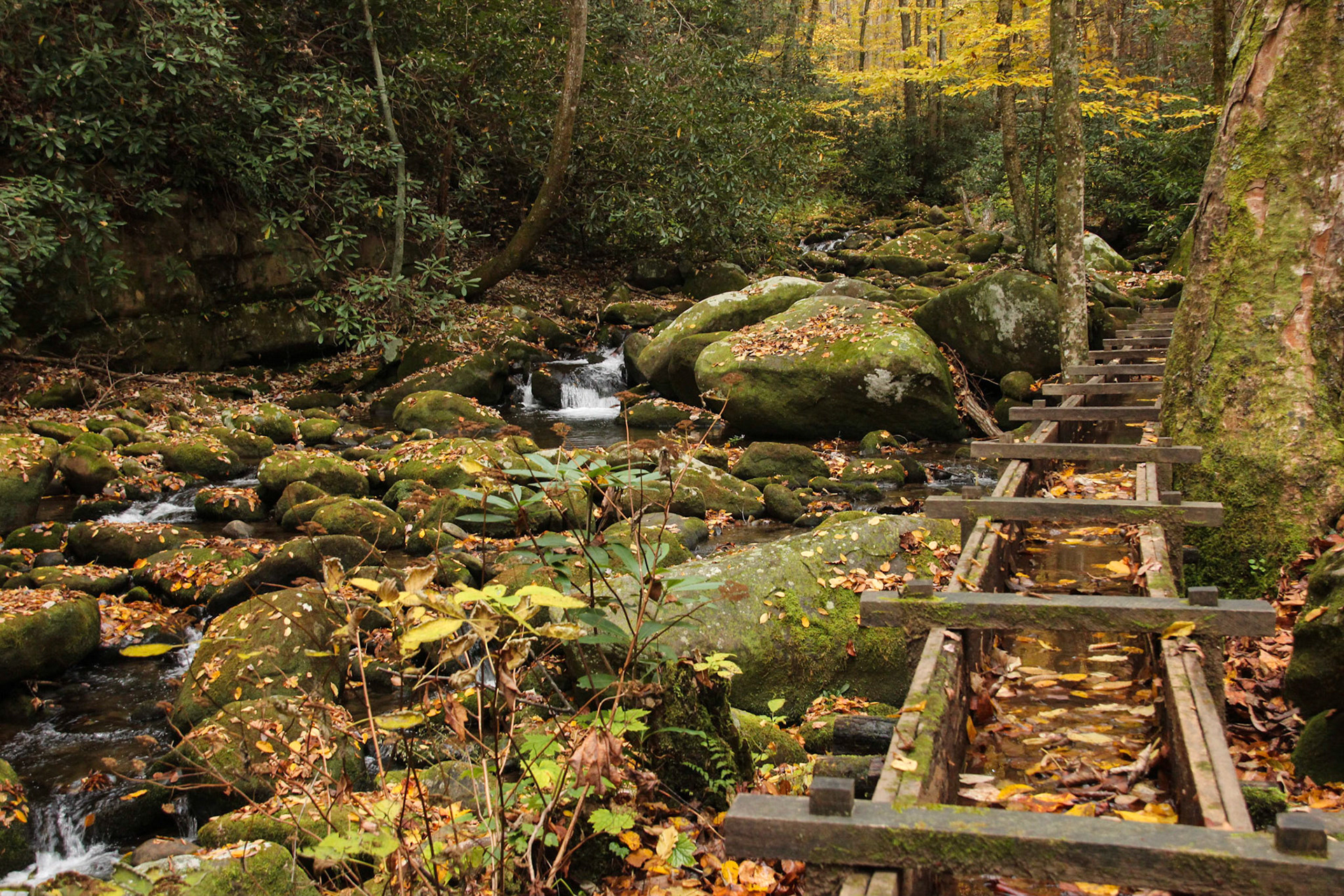 Mill Flume - Great Smoky Mountains National Park