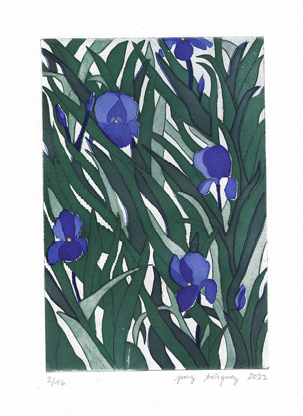 "Des iris" 2022