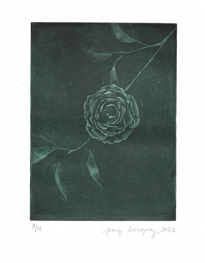 "Camélia de nuit" 2022 var monochrome