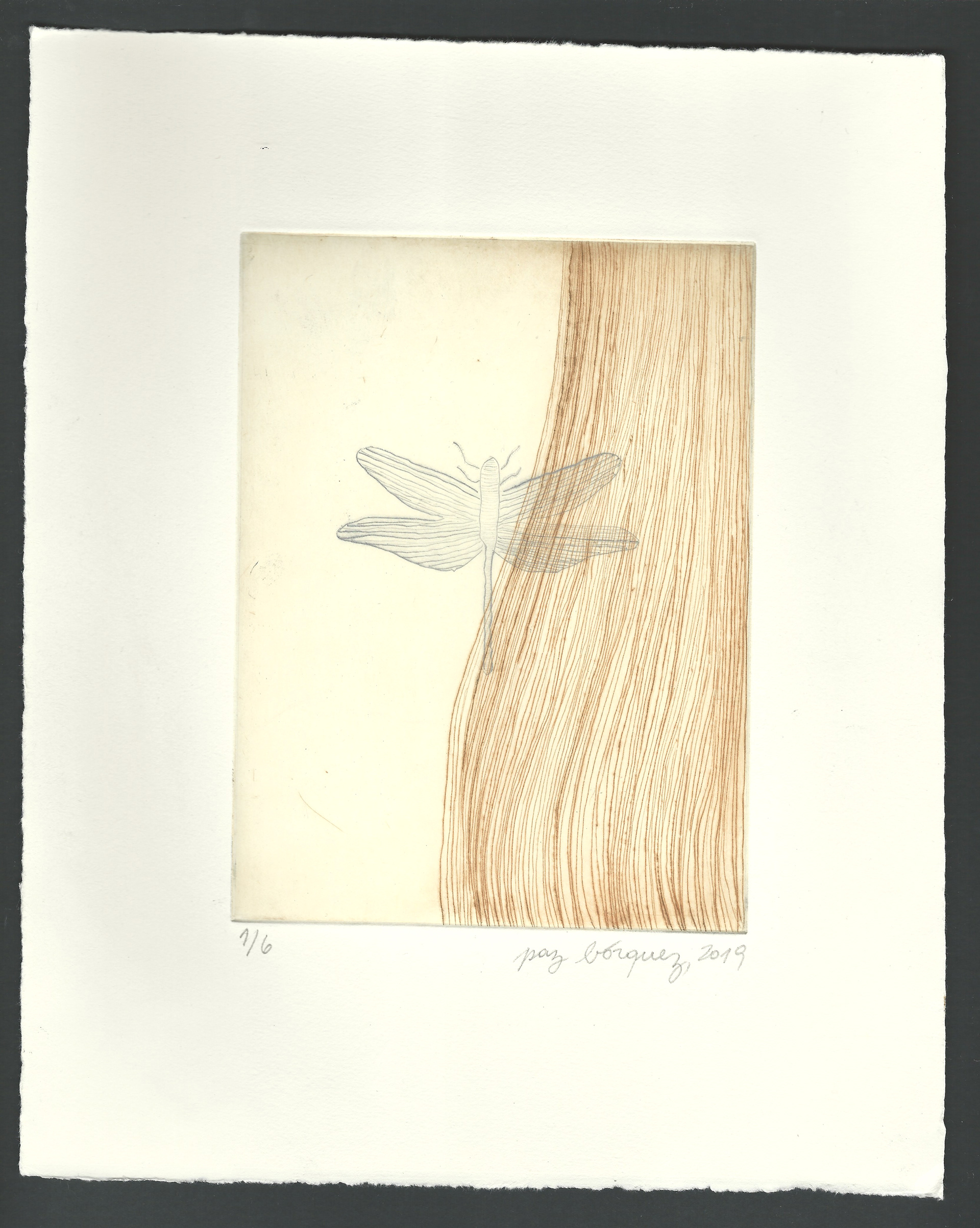 «La mue», 2019. Gravure originale pointe sèche, plaque de cuivre 15 X 20 cm. sur papier d’un format total de 25 x 33 cm. Numérotée 1 de 6 et signée au crayon par l'artiste. Impression: Moret Imprimeur, Paris.
