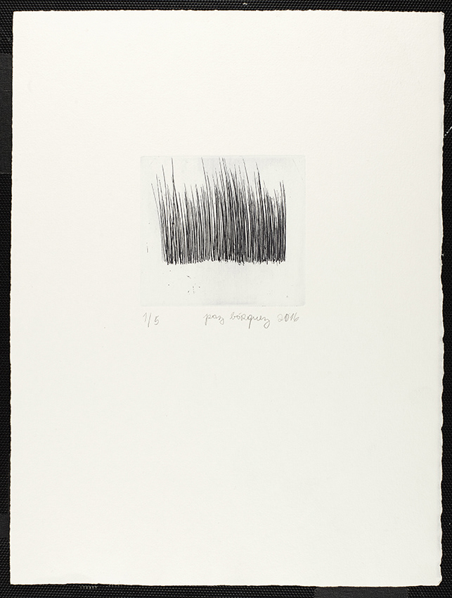 «Poils», 2016.