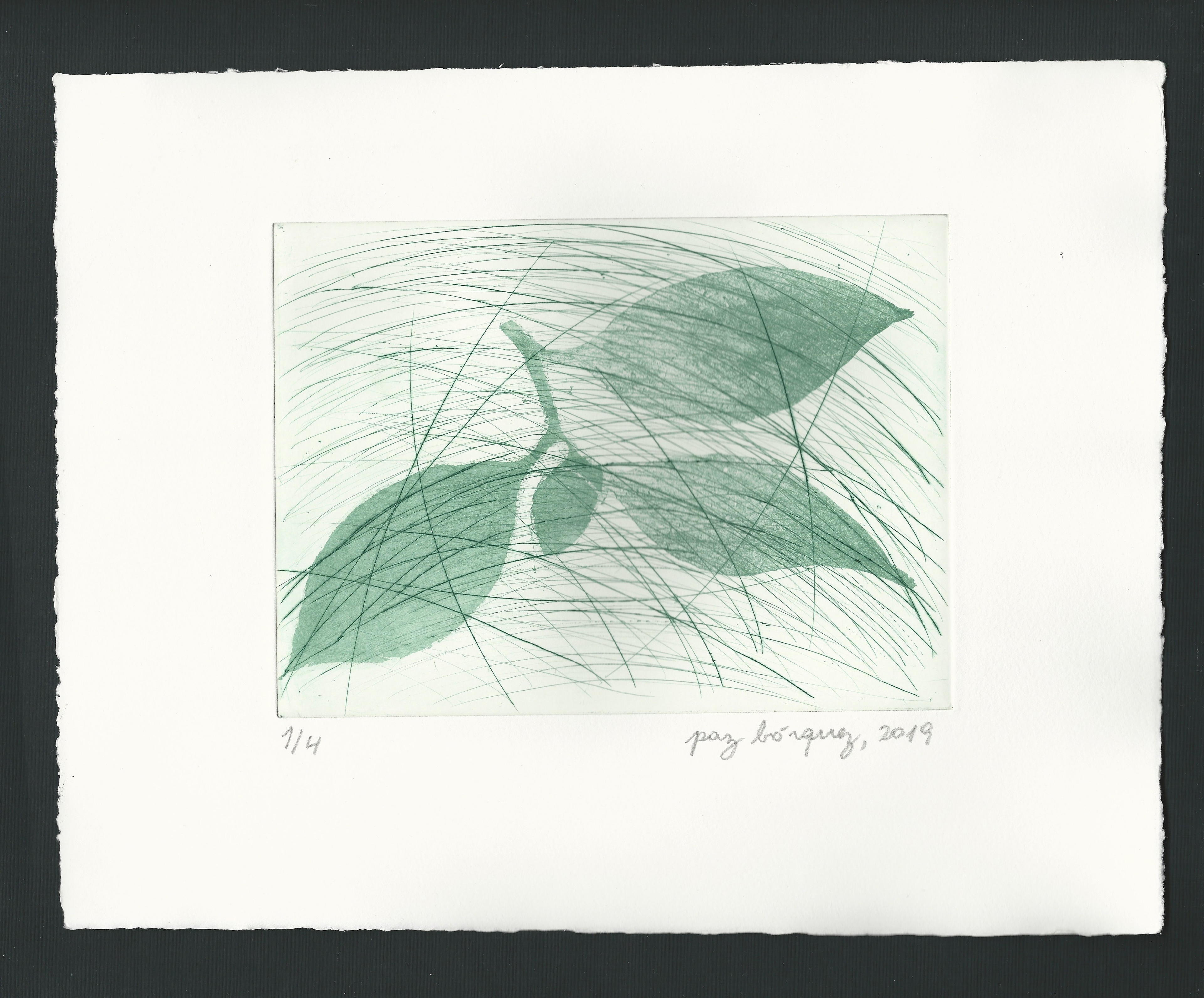 «Camélia», 2019. Gravure originale pointe sèche et aquatinte, plaque de cuivre 15 X 20 cm. sur papier d’un format total de 25 x 33 cm. Numérotée 1 de 4 et signée au crayon par l'artiste. Impression: Moret Imprimeur, Paris.