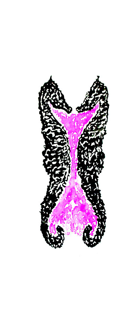Les hippocampes 3, encre sur papier: 23x50