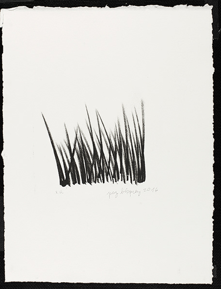«L’herbe n’est pas plus verte ailleurs», 2016. Lithographie originale sur papier d’un format total de 16 x 25 cm . Numérotée 1 de 5 et signée au crayon par l'artiste.