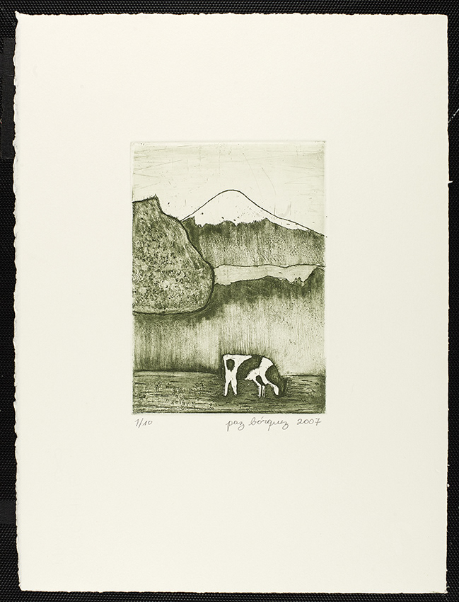 "Volcan Osorno"