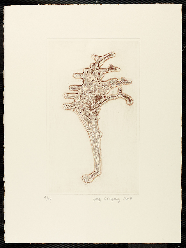 «Cartographie (pirivée)»,