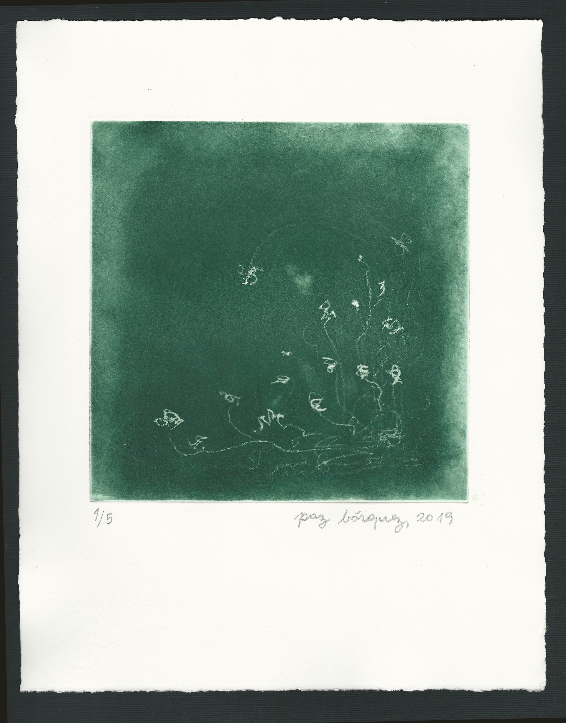 «Fleurs de nuit», 2019. Gravure originale aquatinte, plaque de cuivre 19 x 19 cm. sur papier d’un format total de 25 x 33 cm. Numérotée 1 de 5 et signée au crayon par l'artiste. Impression: Moret Imprimeur, Paris.