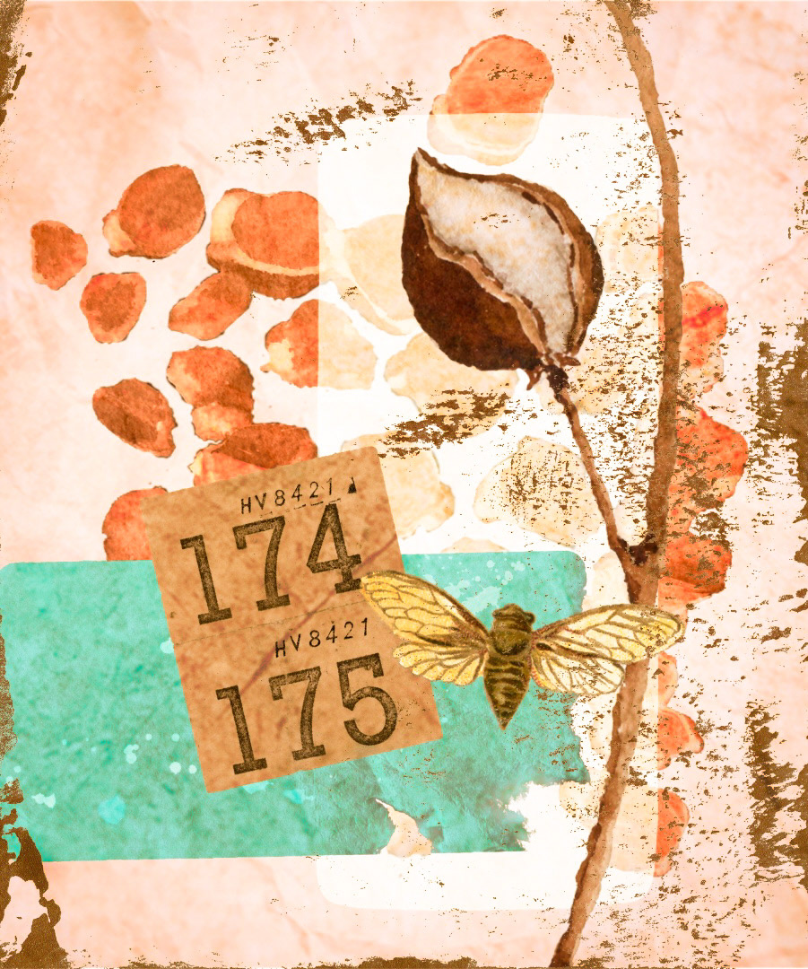 Vintage motiv laget i Adobe Express