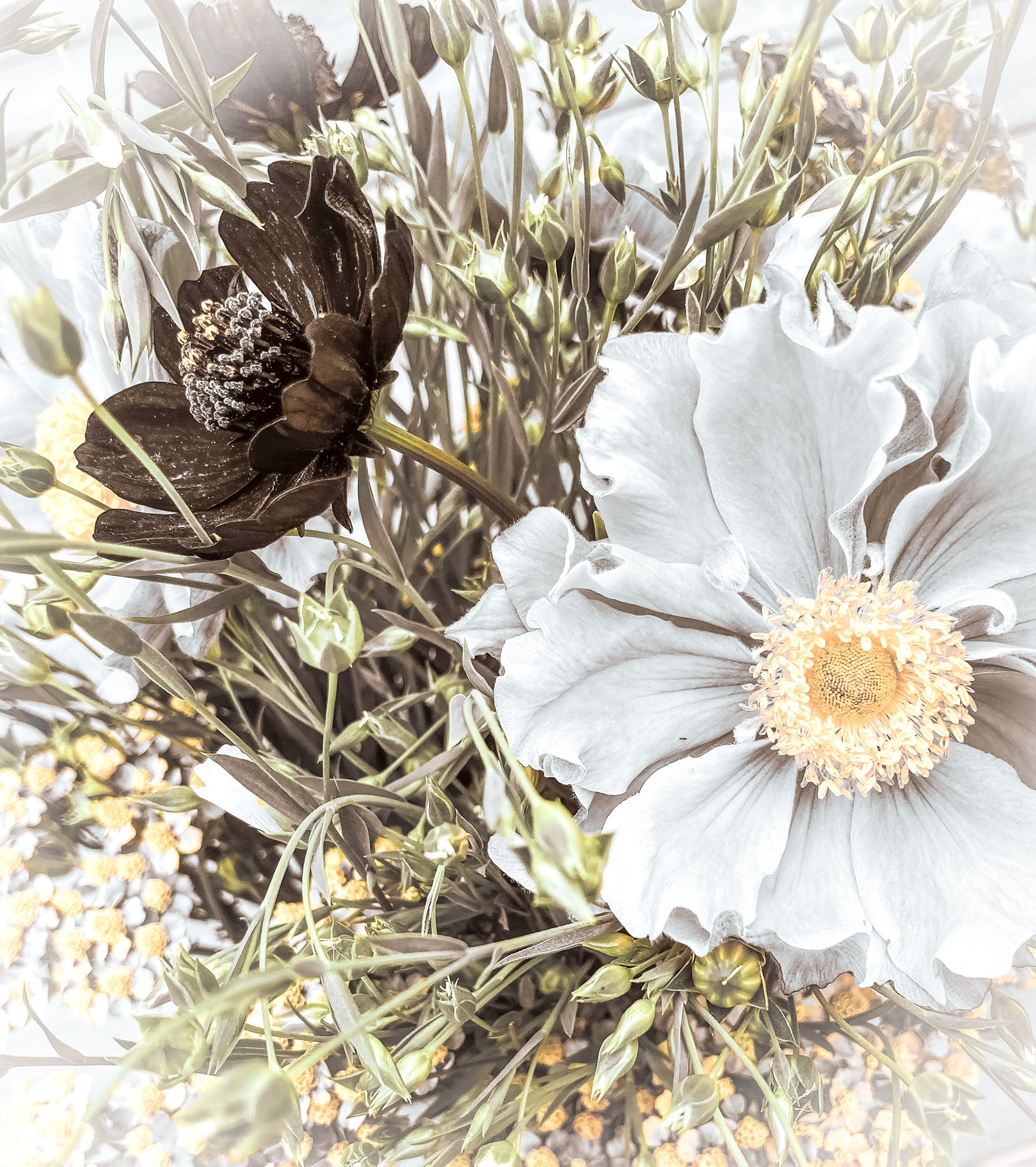 Redigerte sommerblomster