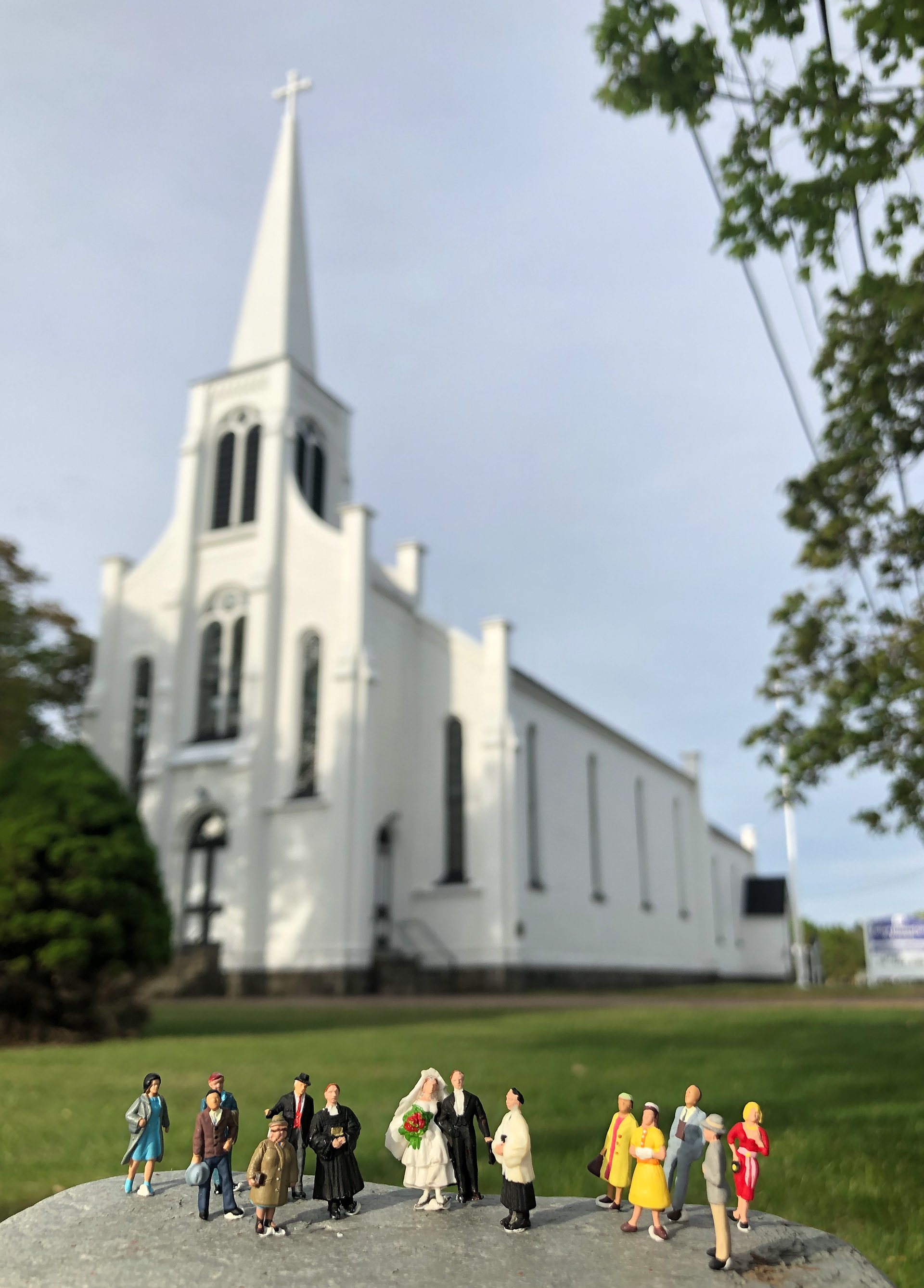 Quarantine Project Day 72 - I had my first wedding shoot for the summer - They were all very cooperative. Projet quarantaine jour 72 - Première séance photo de mariage de l'été - tous étaient très coopératifs.
